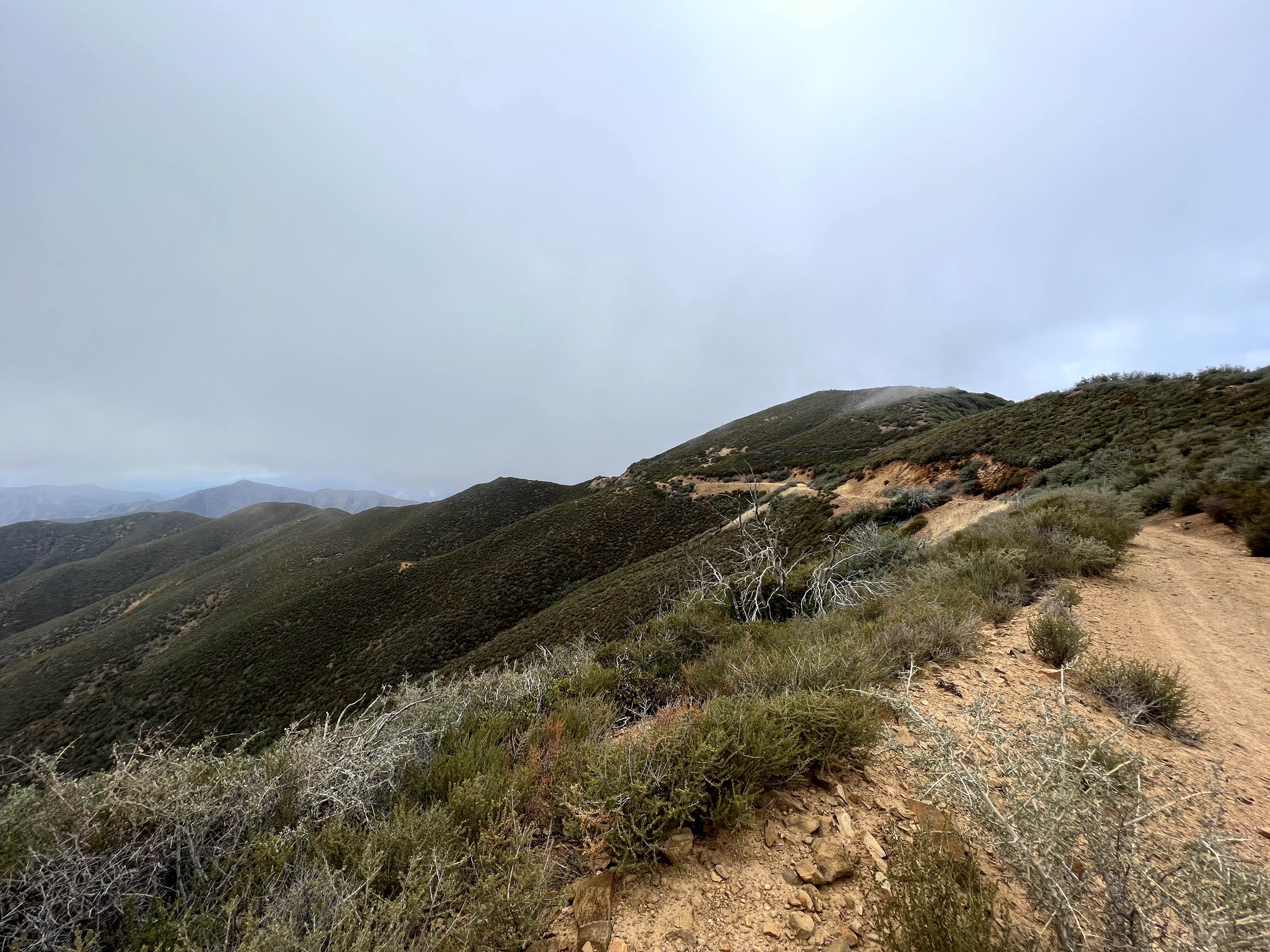 McPherson Peak - FS 32S13