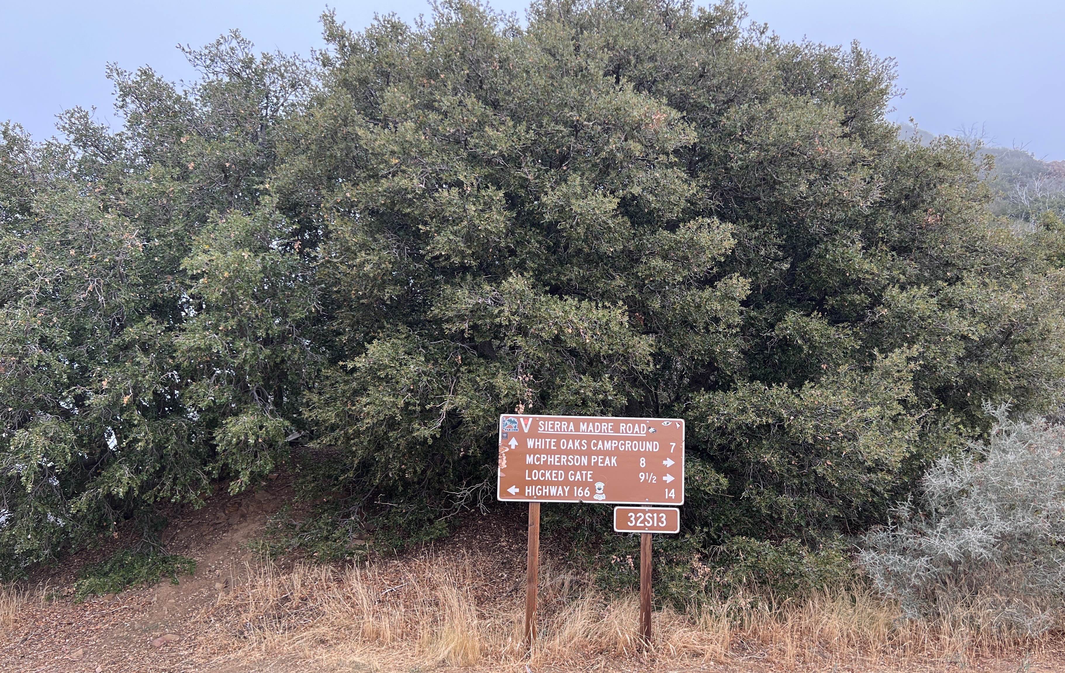 McPherson Peak - FS 32S13