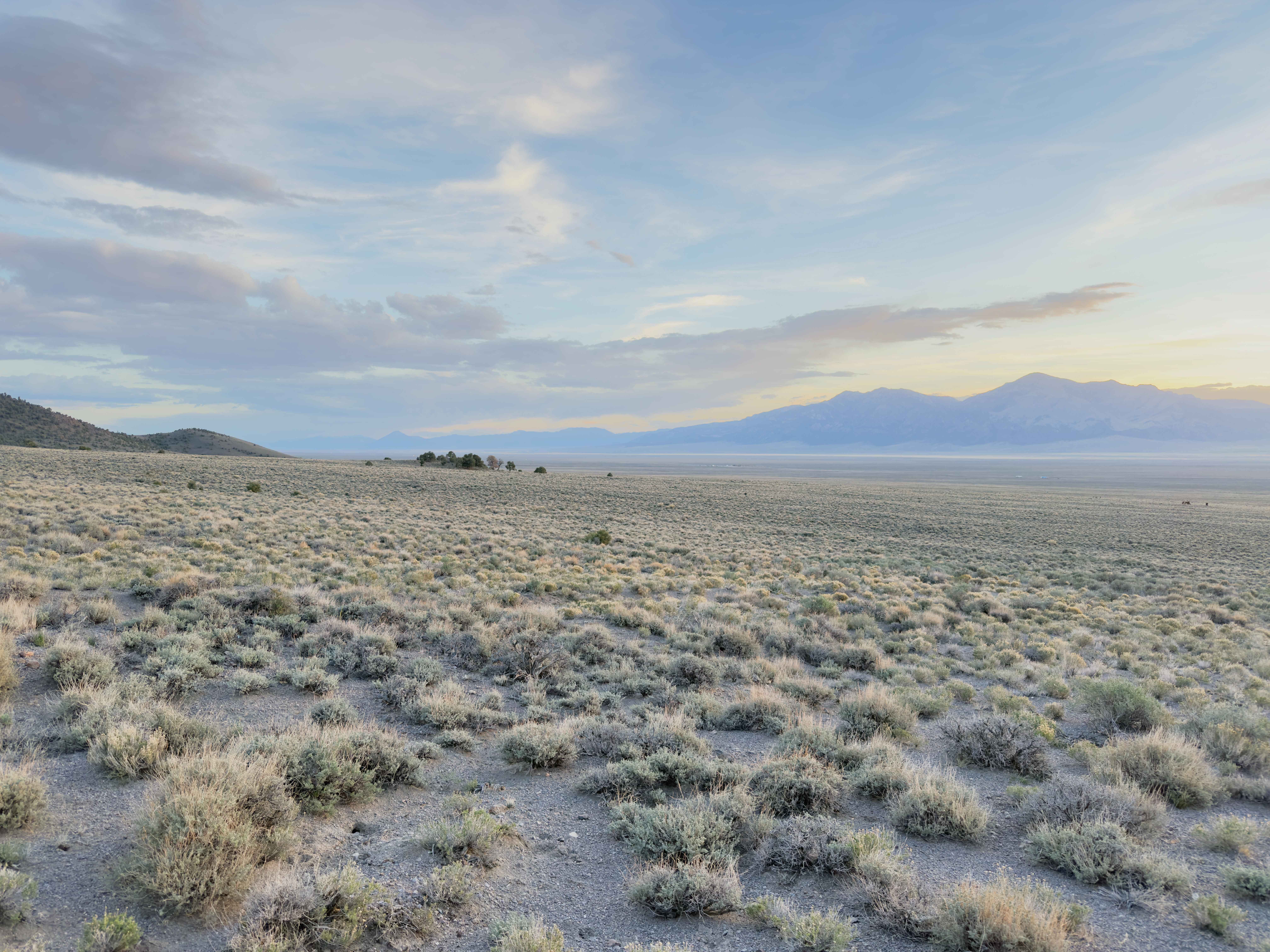 The Express Connector