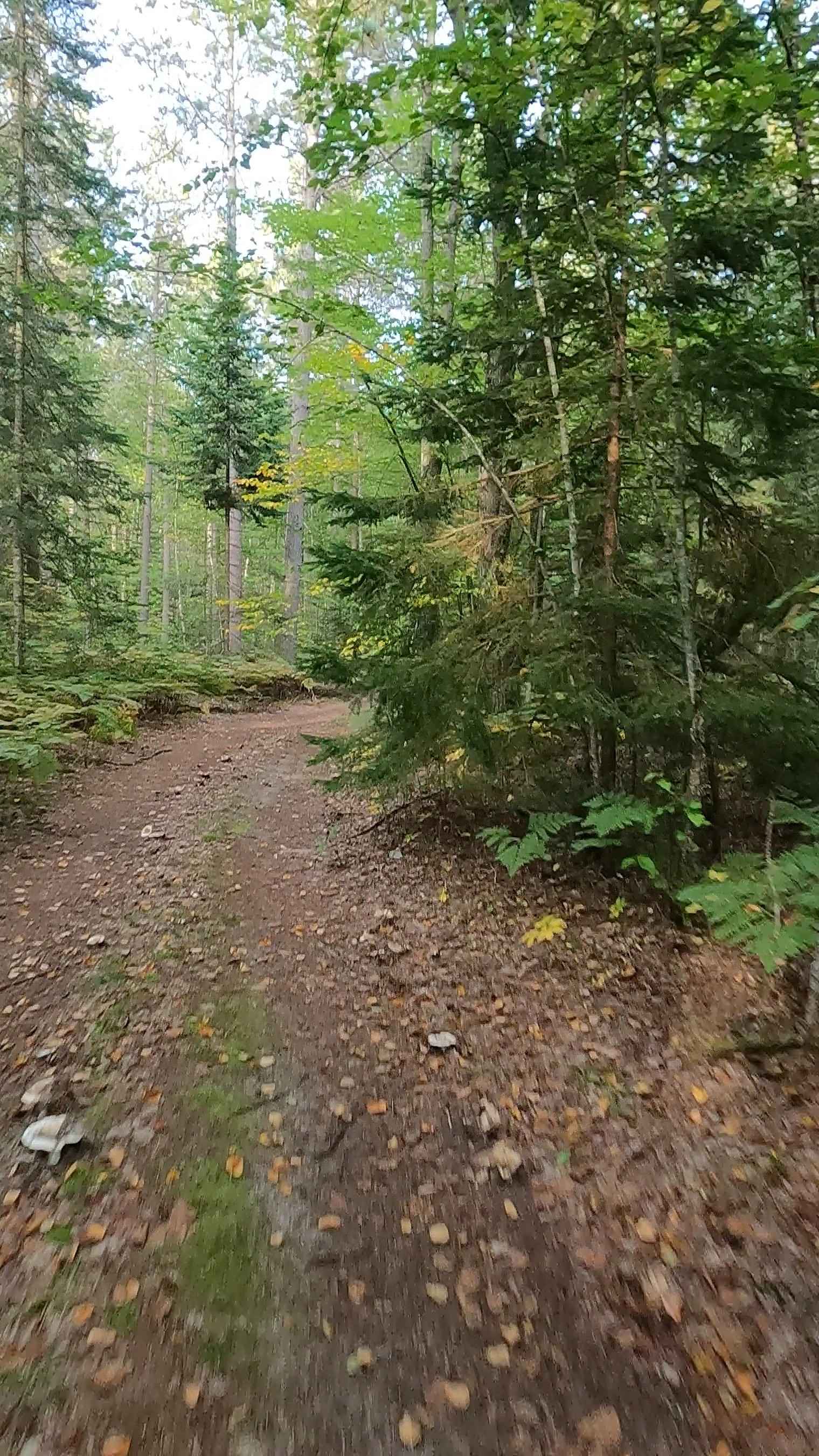 Boedne Bay Road Spur A - FS 3453A