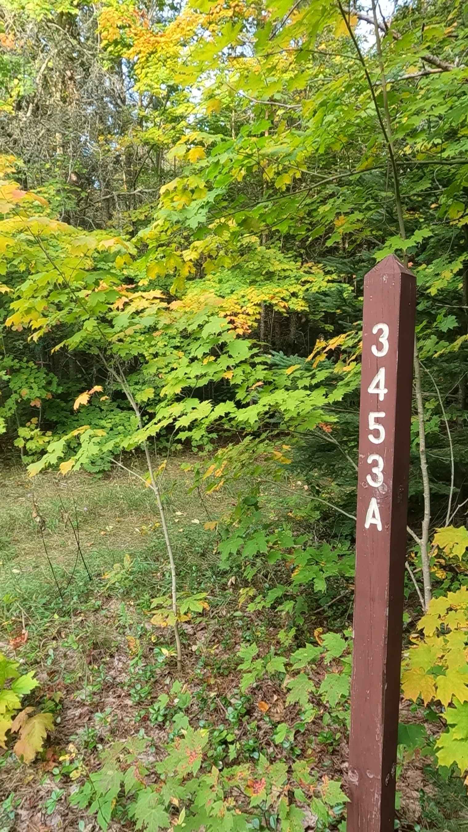 Boedne Bay Road Spur A - FS 3453A