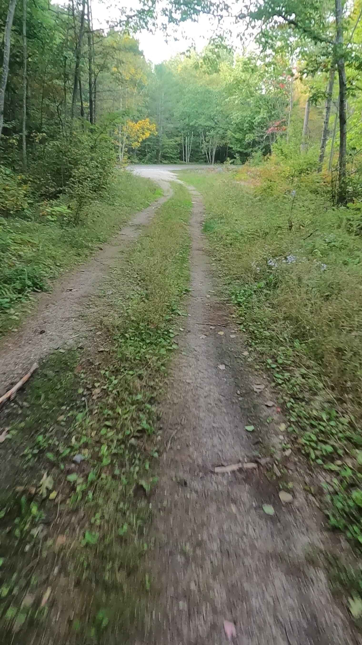 Brevoort Lake Road - FS 3424