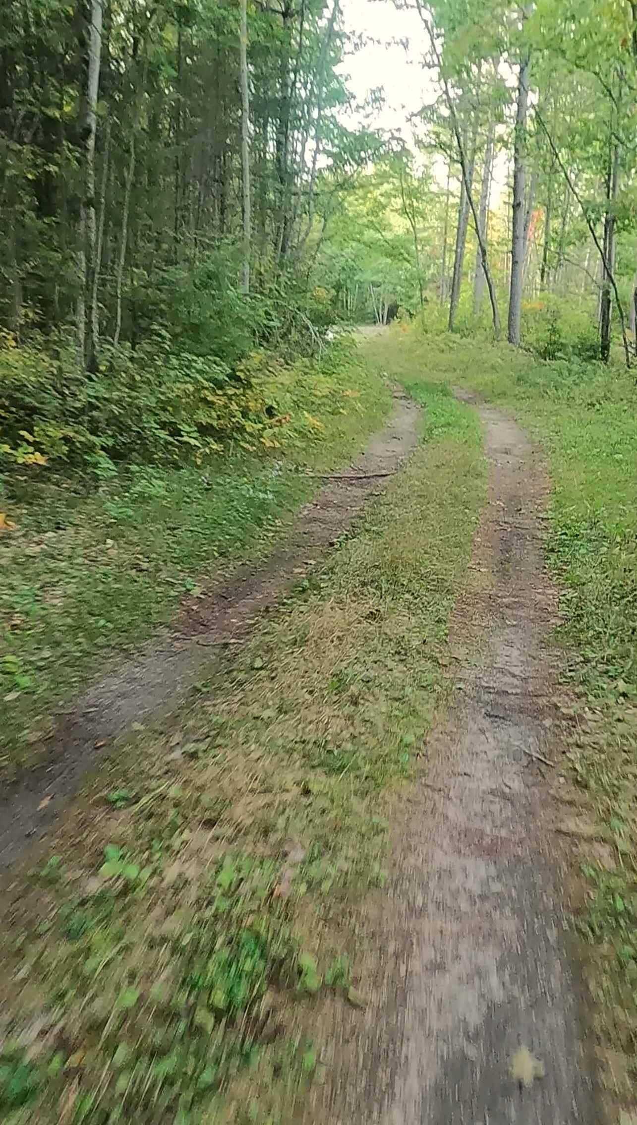 Brevoort Lake Road - FS 3424