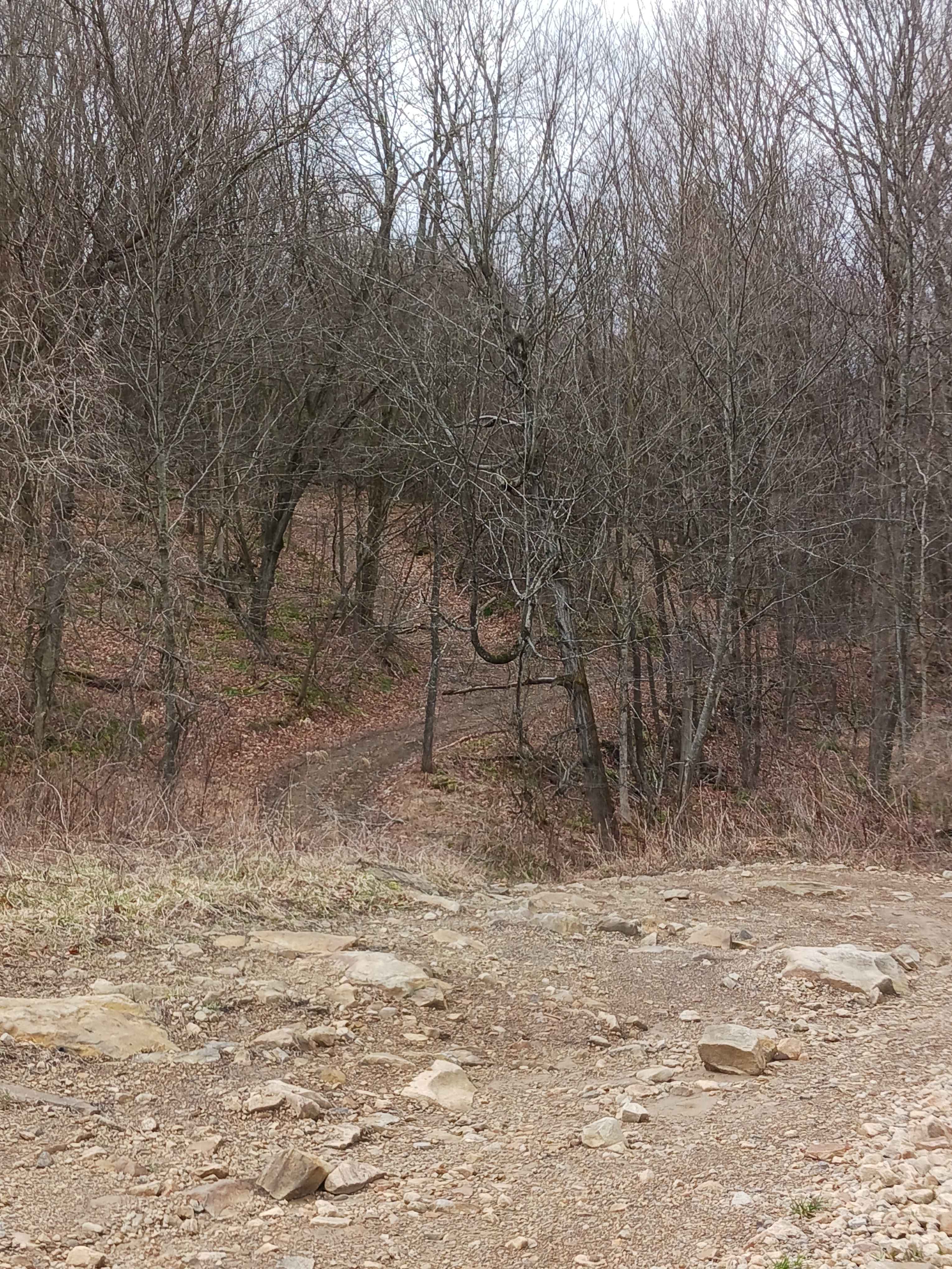 Trail 15 - Rock Run Recreation Area