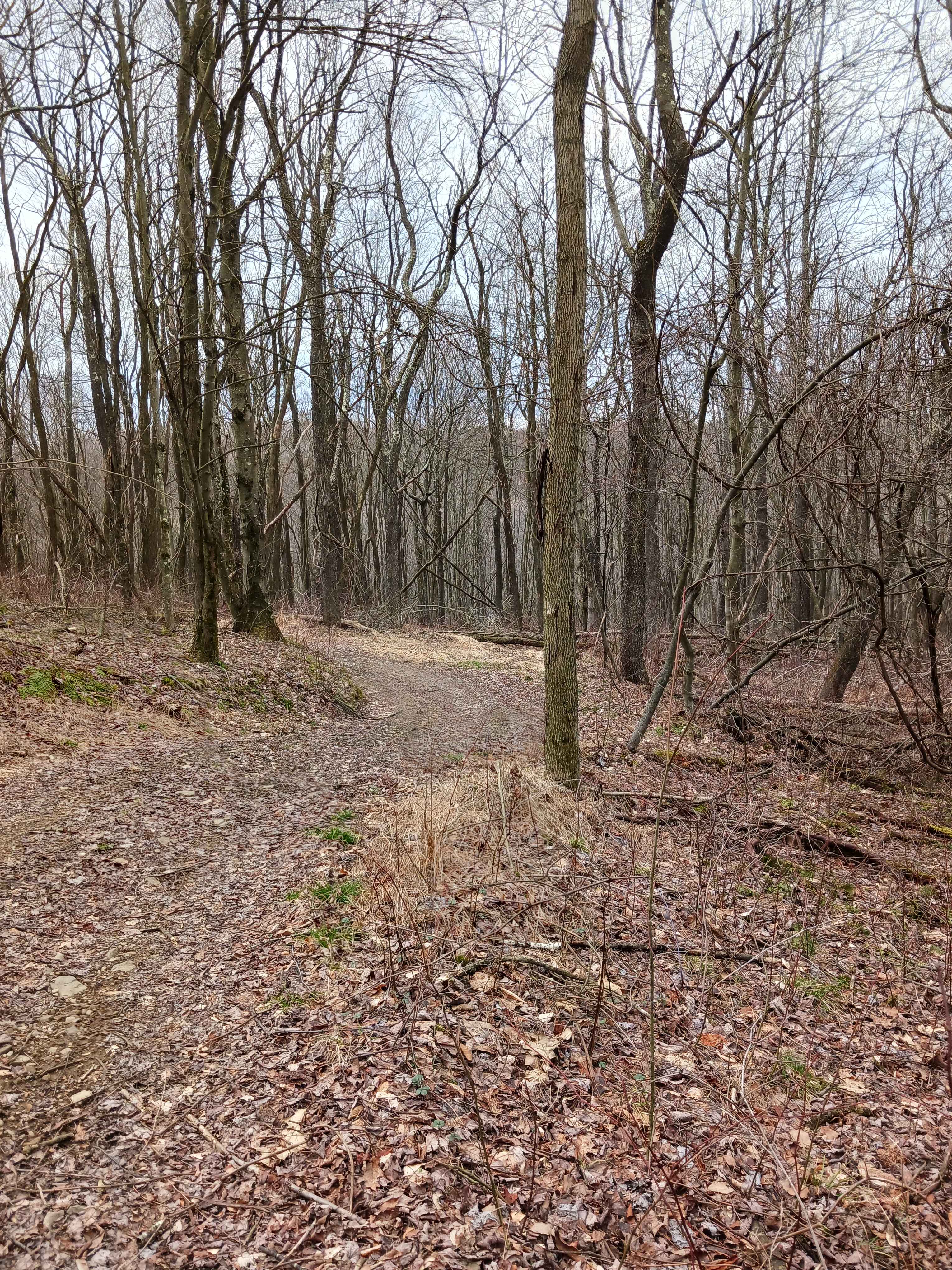 Trail 15A - Rock Run Recreation Area