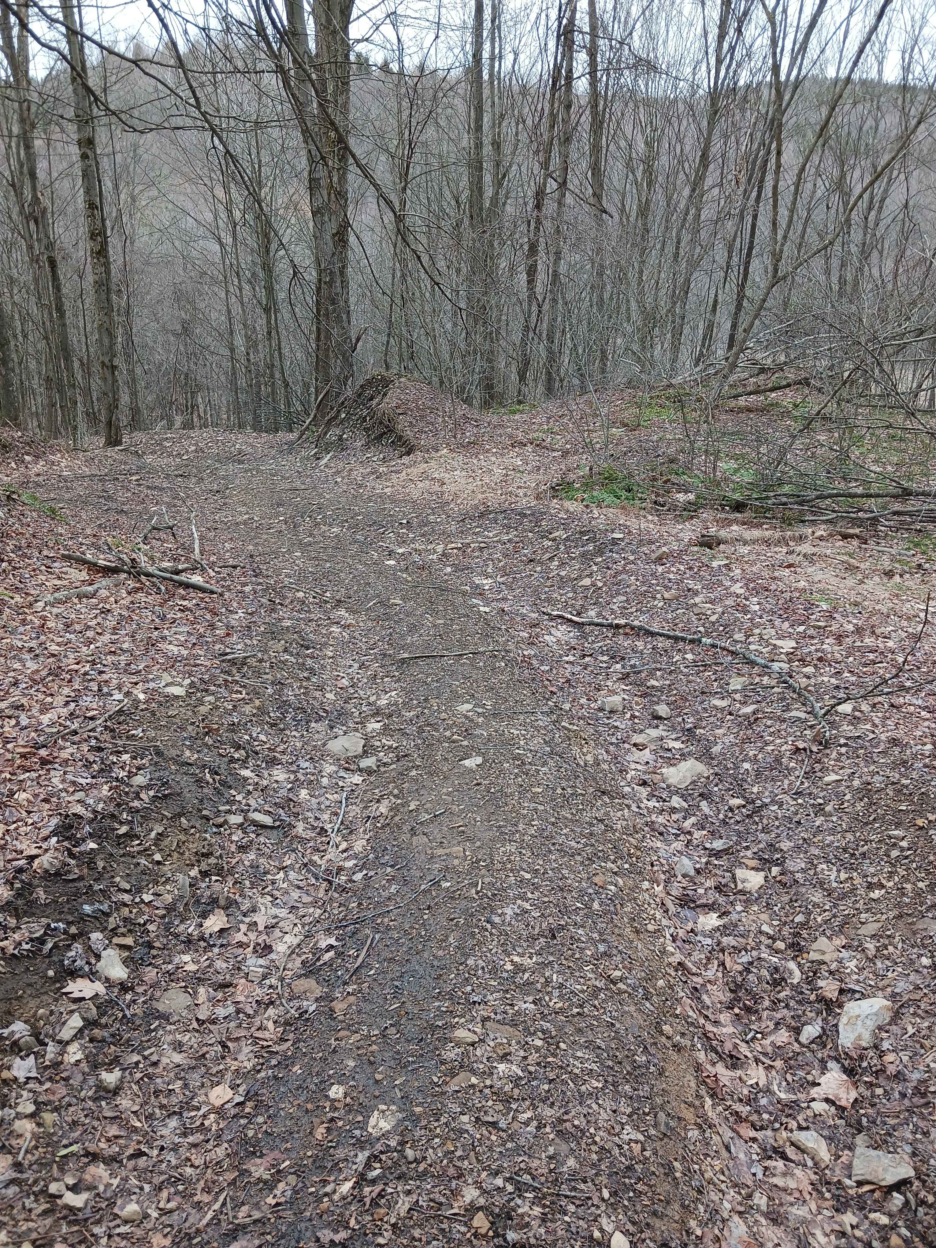 Trail 15B - Rock Run Recreation Area