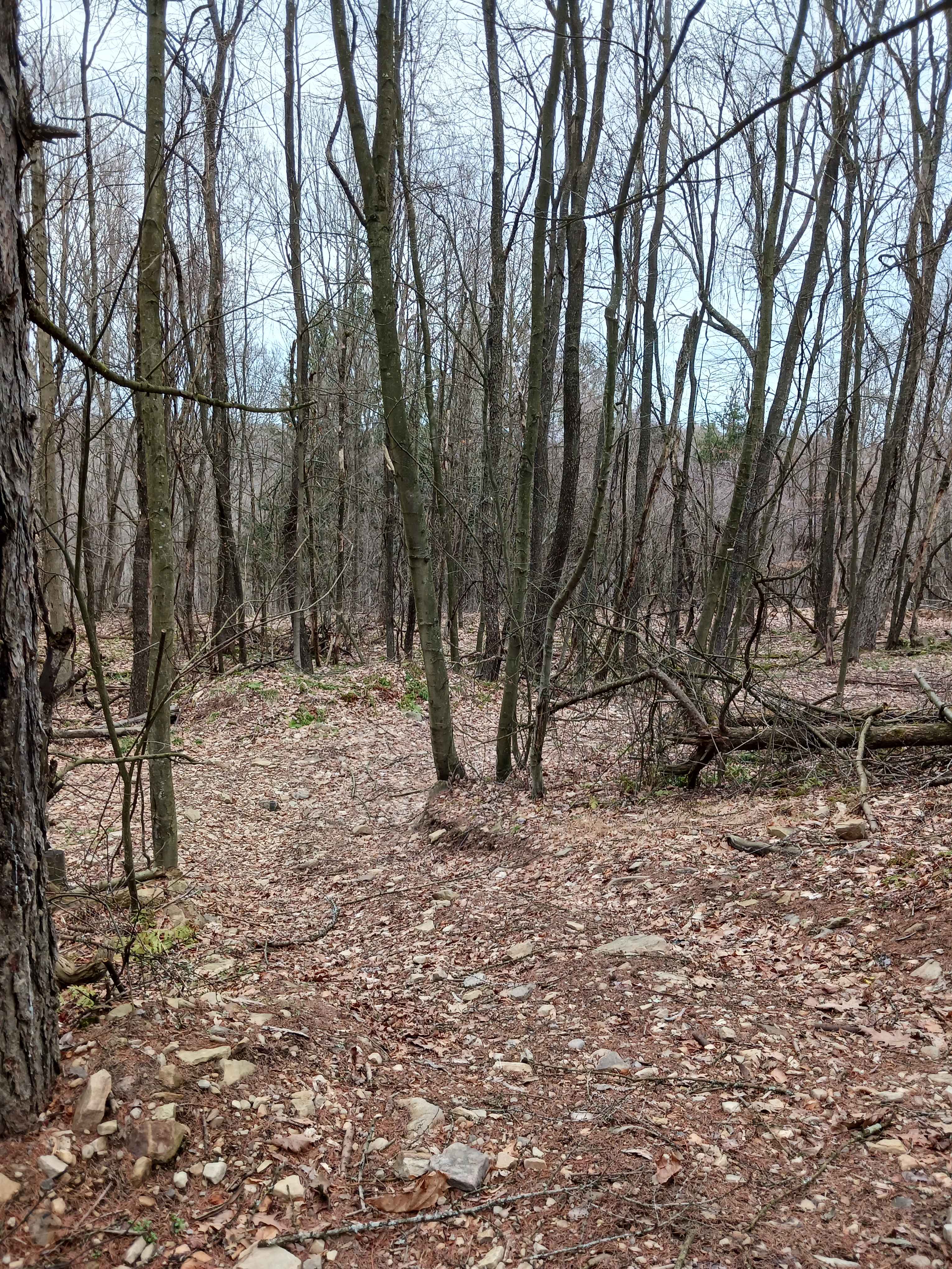 Trail 15B - Rock Run Recreation Area