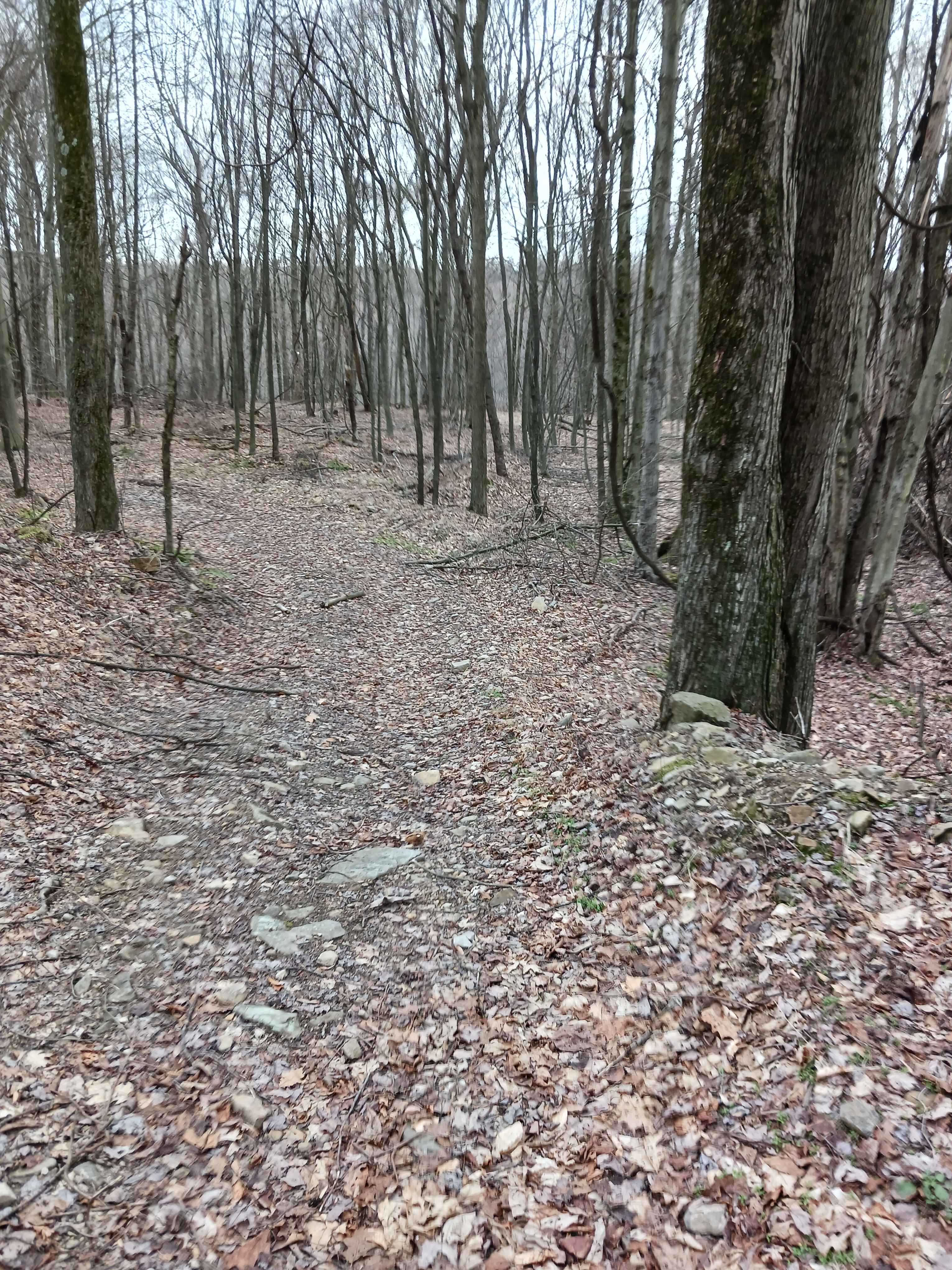 Trail 15C - Rock Run Recreation Area