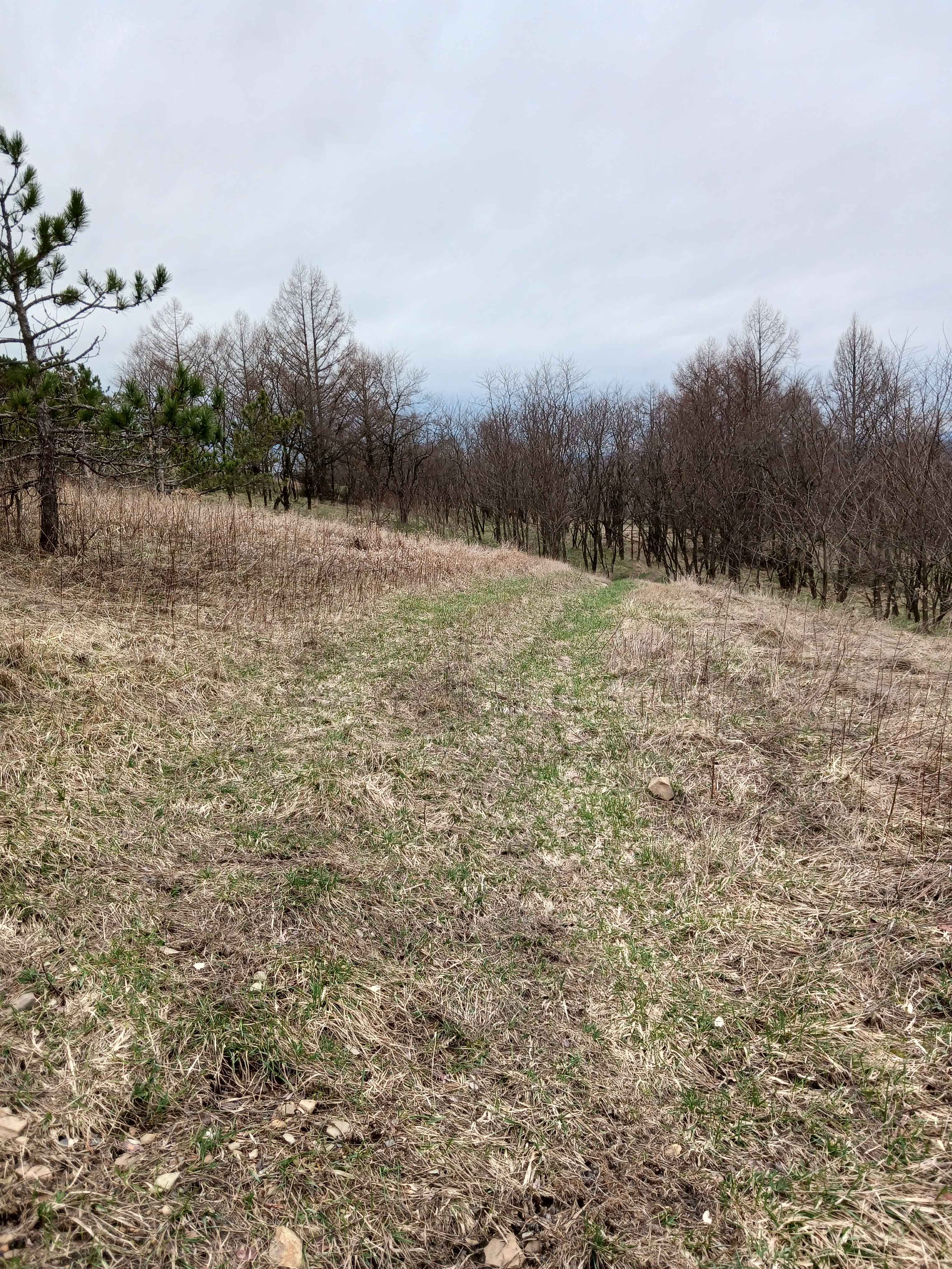 Trail 4K - Rock Run Recreation Area