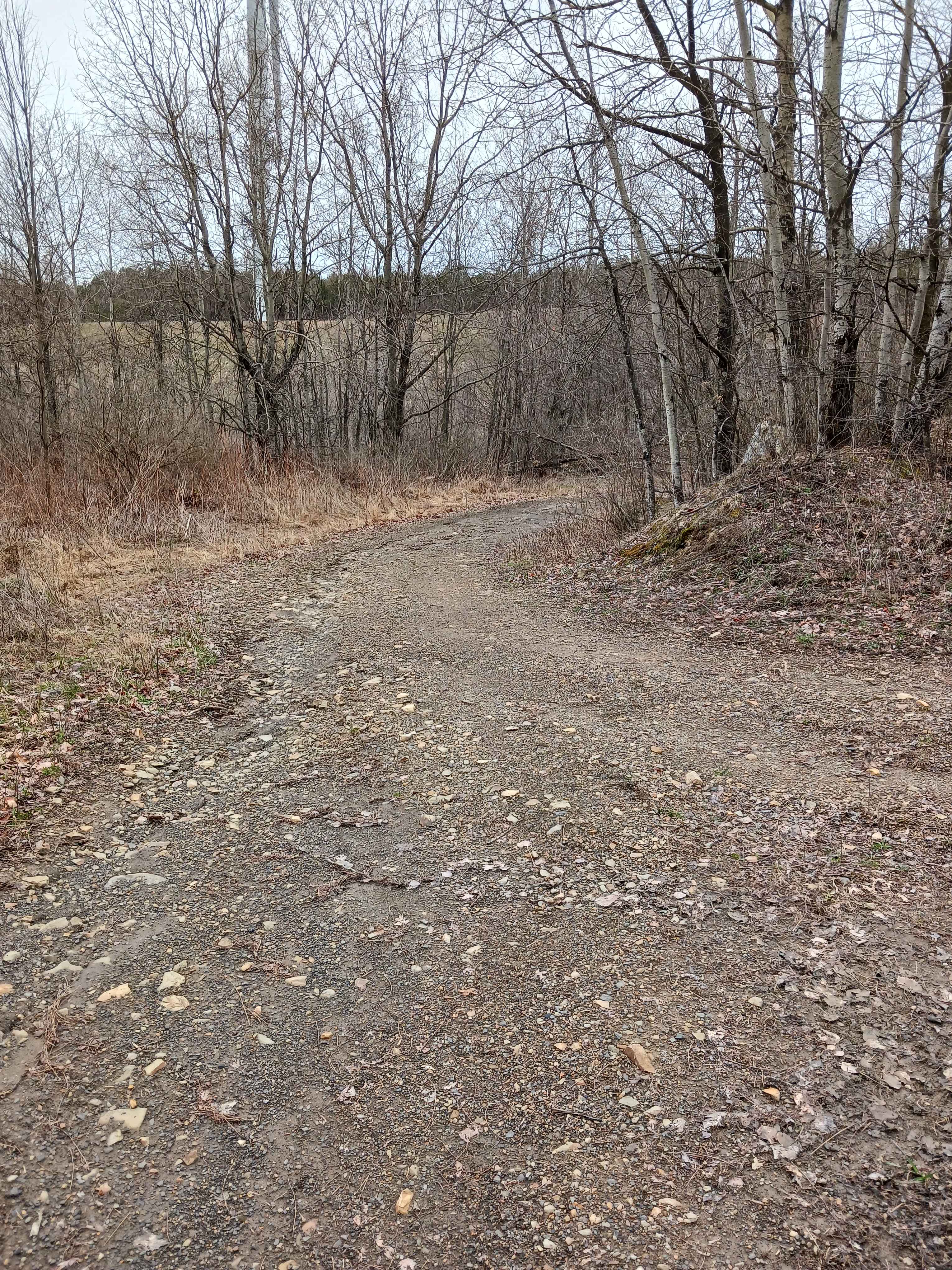 Trail 4L - Rock Run Recreation Area