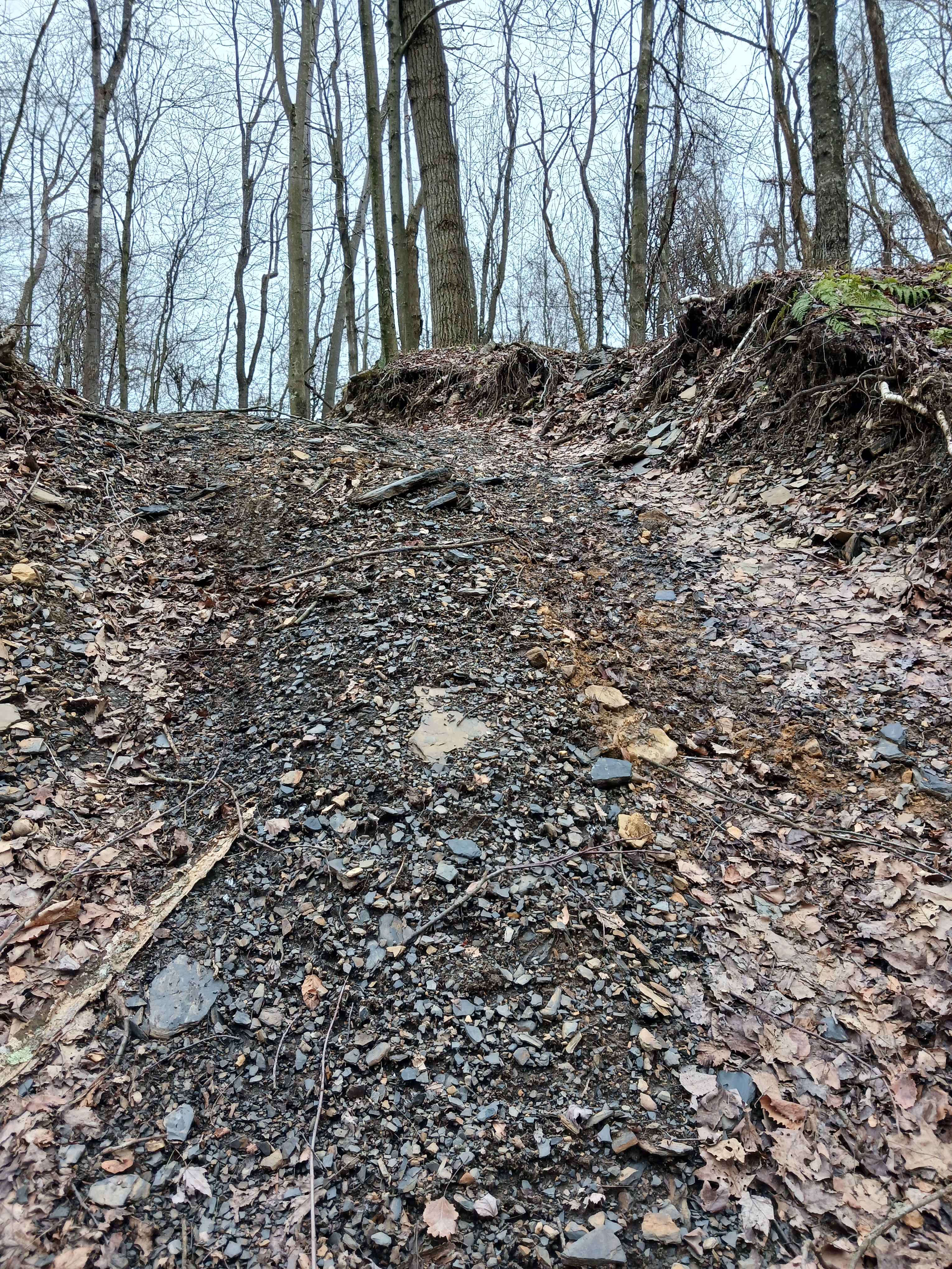 Trail 4E - Rock Run Recreation Area
