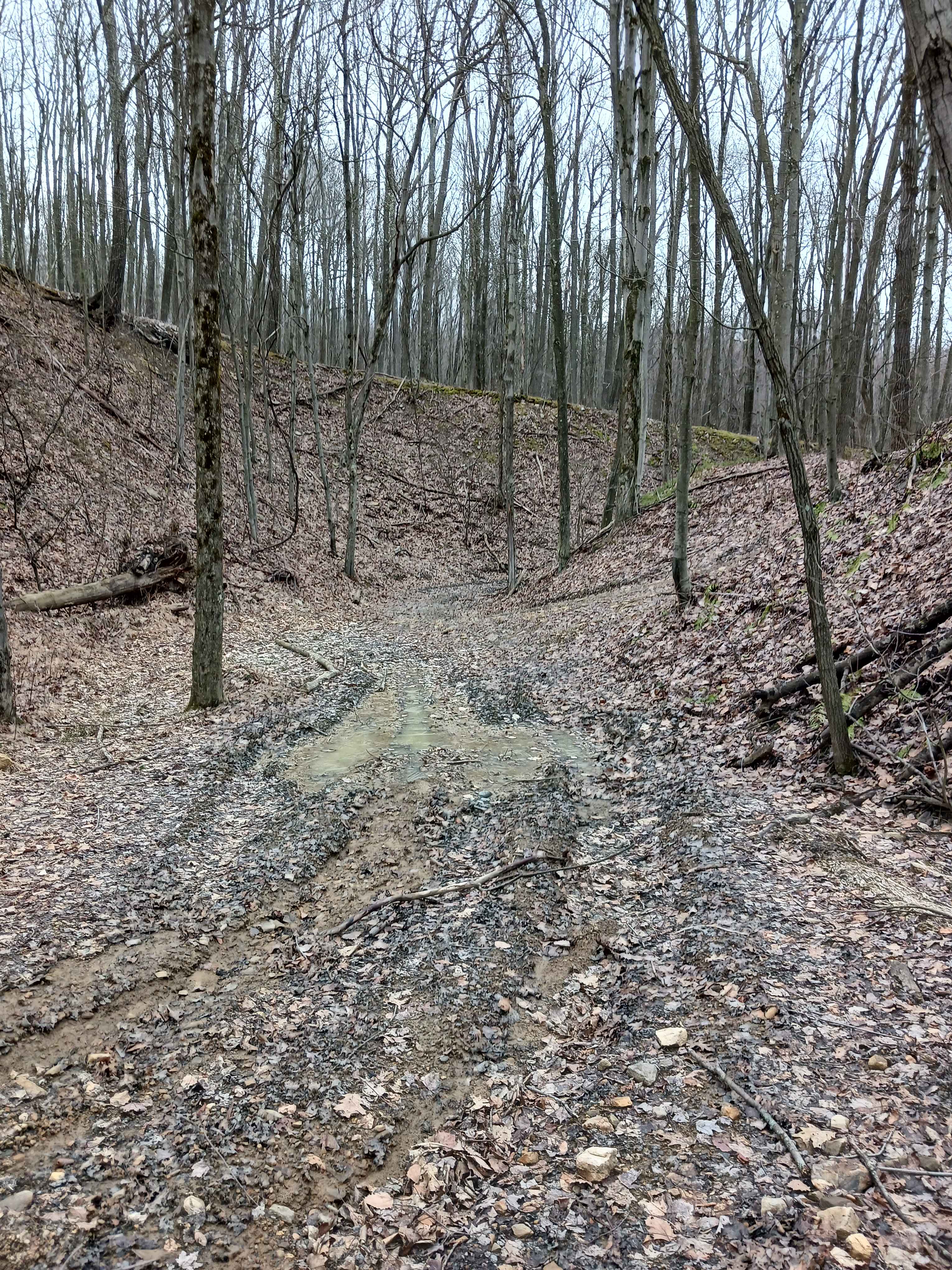 Trail 4D - Rock Run Recreation Area