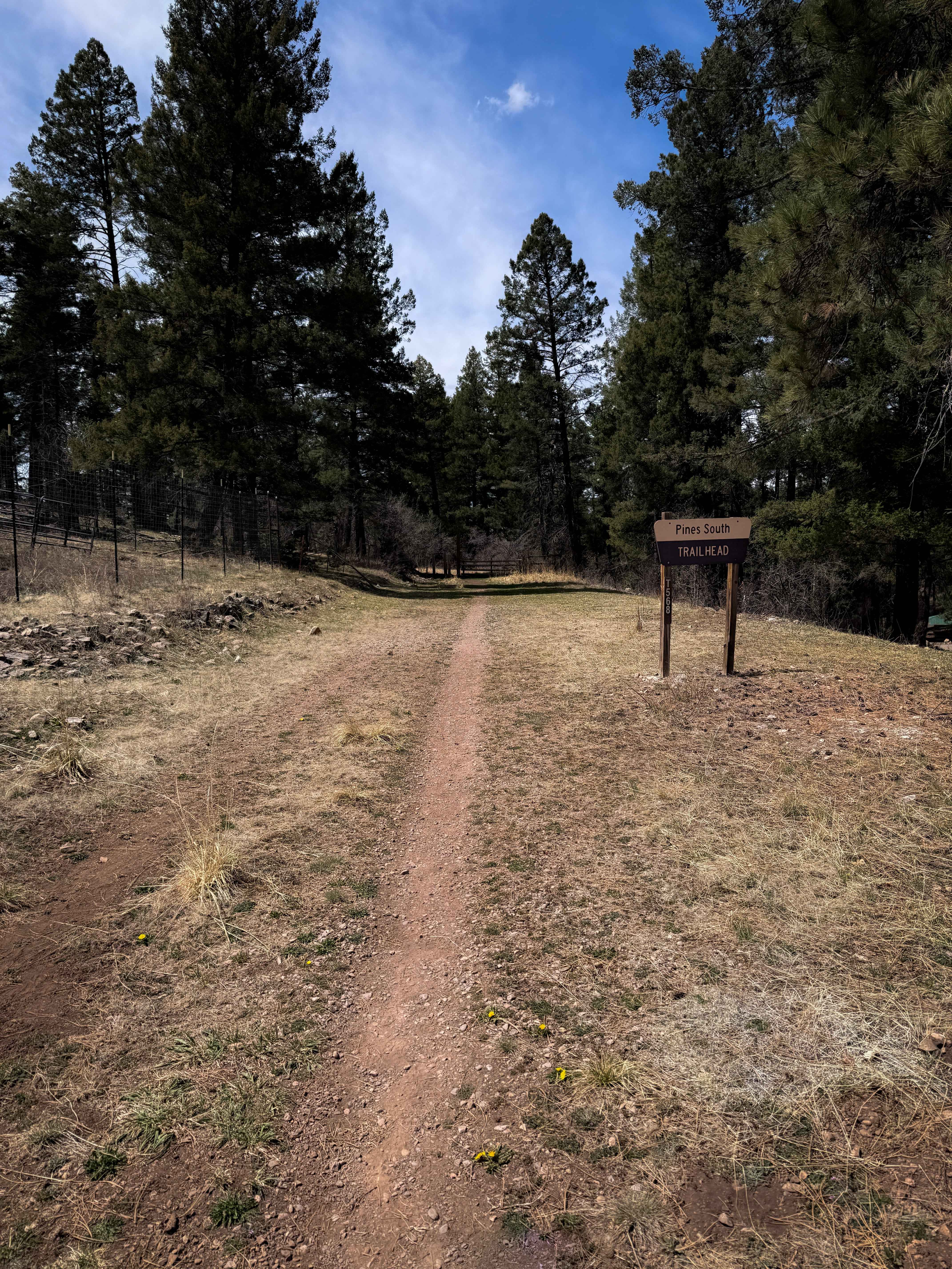 Pines South Trail