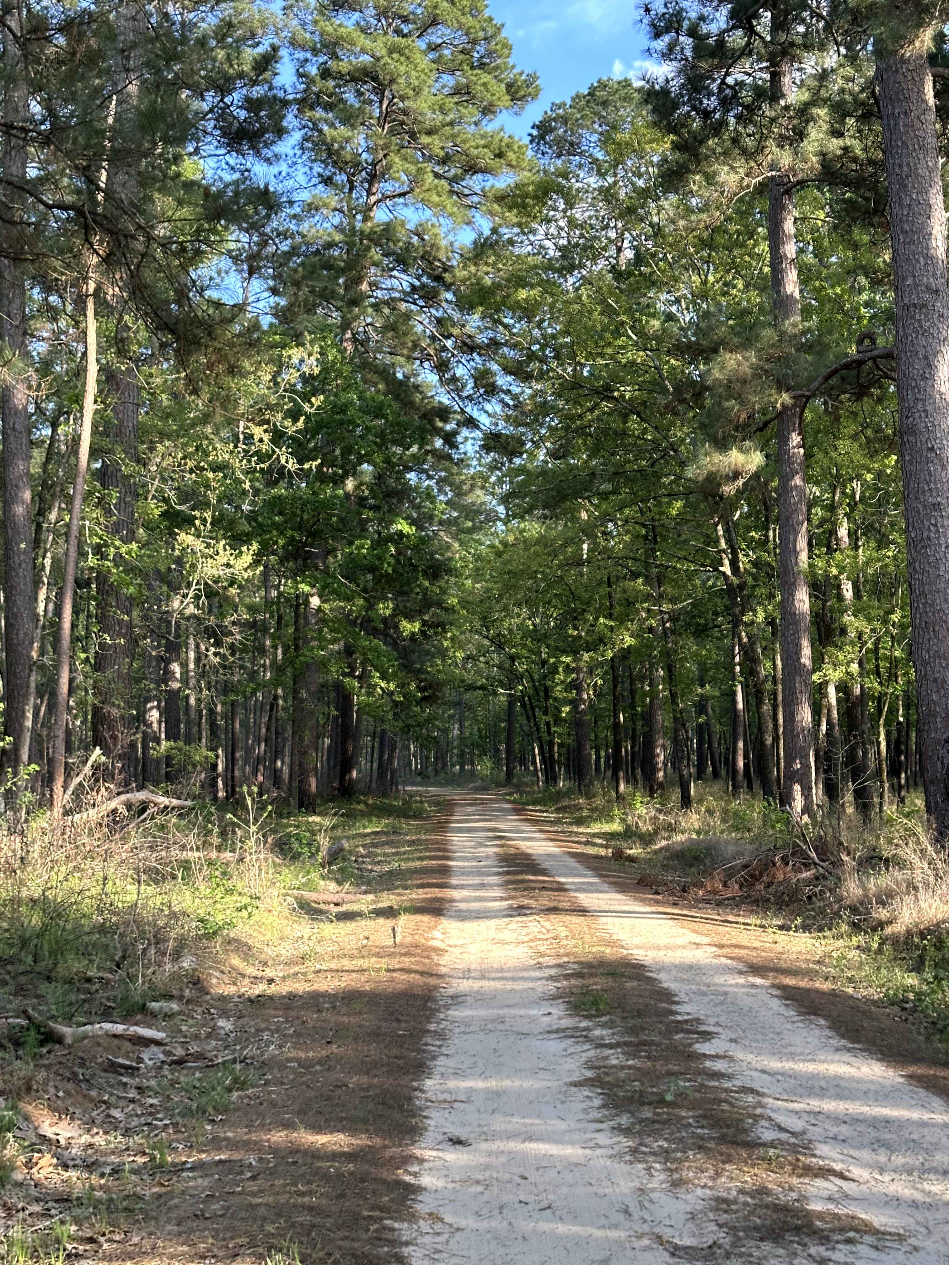 Harrisontown - FS 521