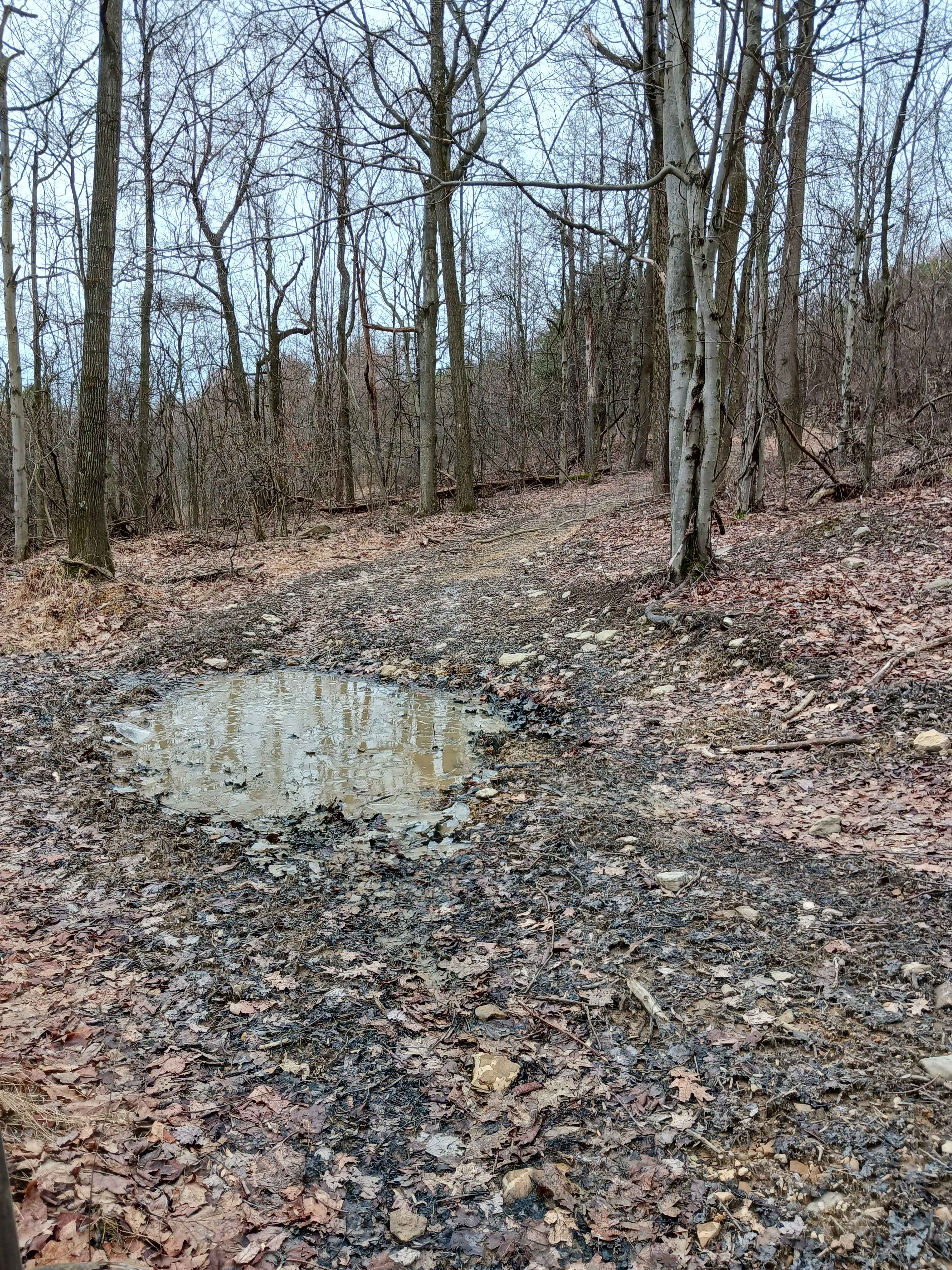 Trail 4N - Rock Run Recreation Area