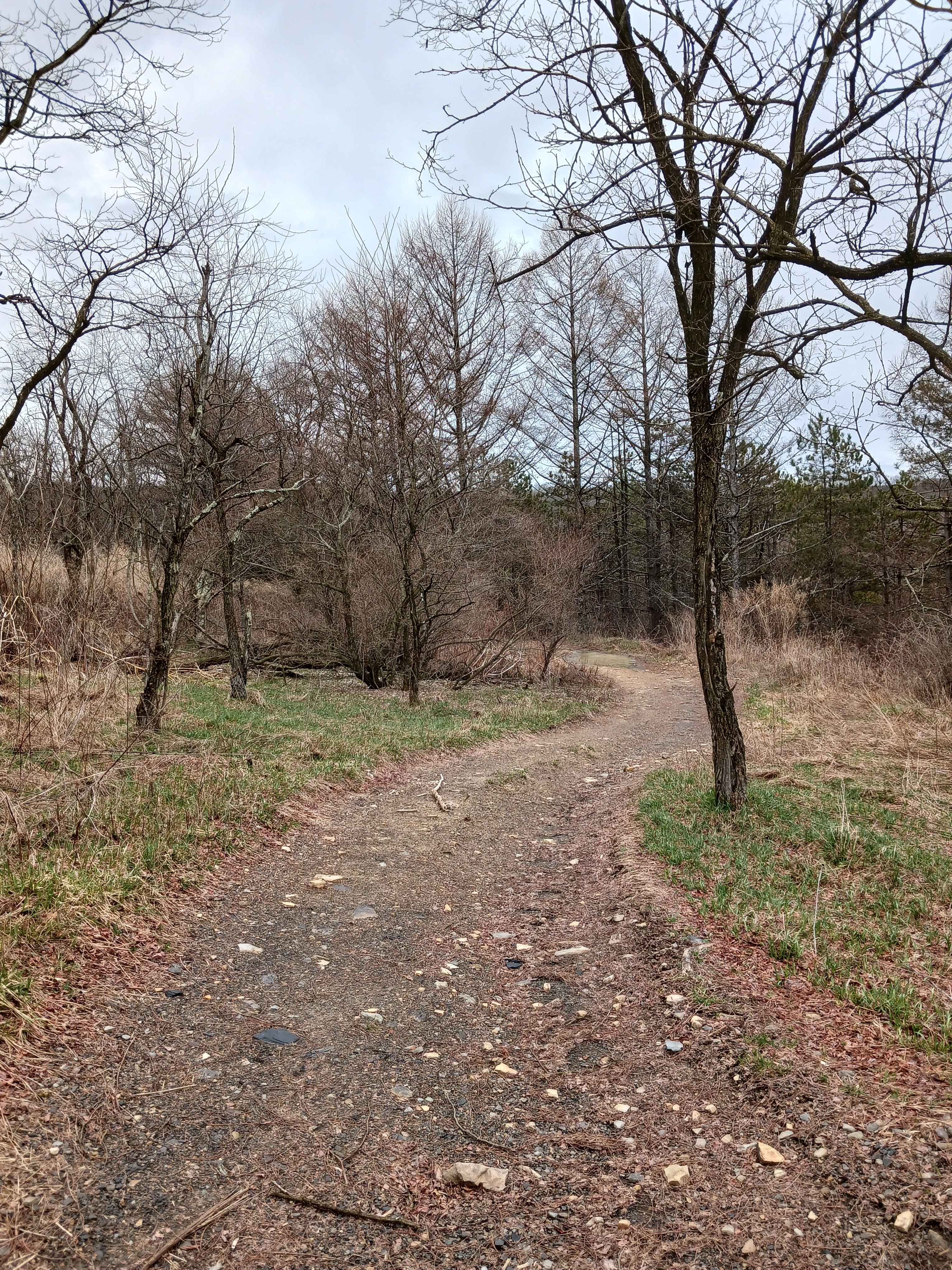 Trail 4N - Rock Run Recreation Area