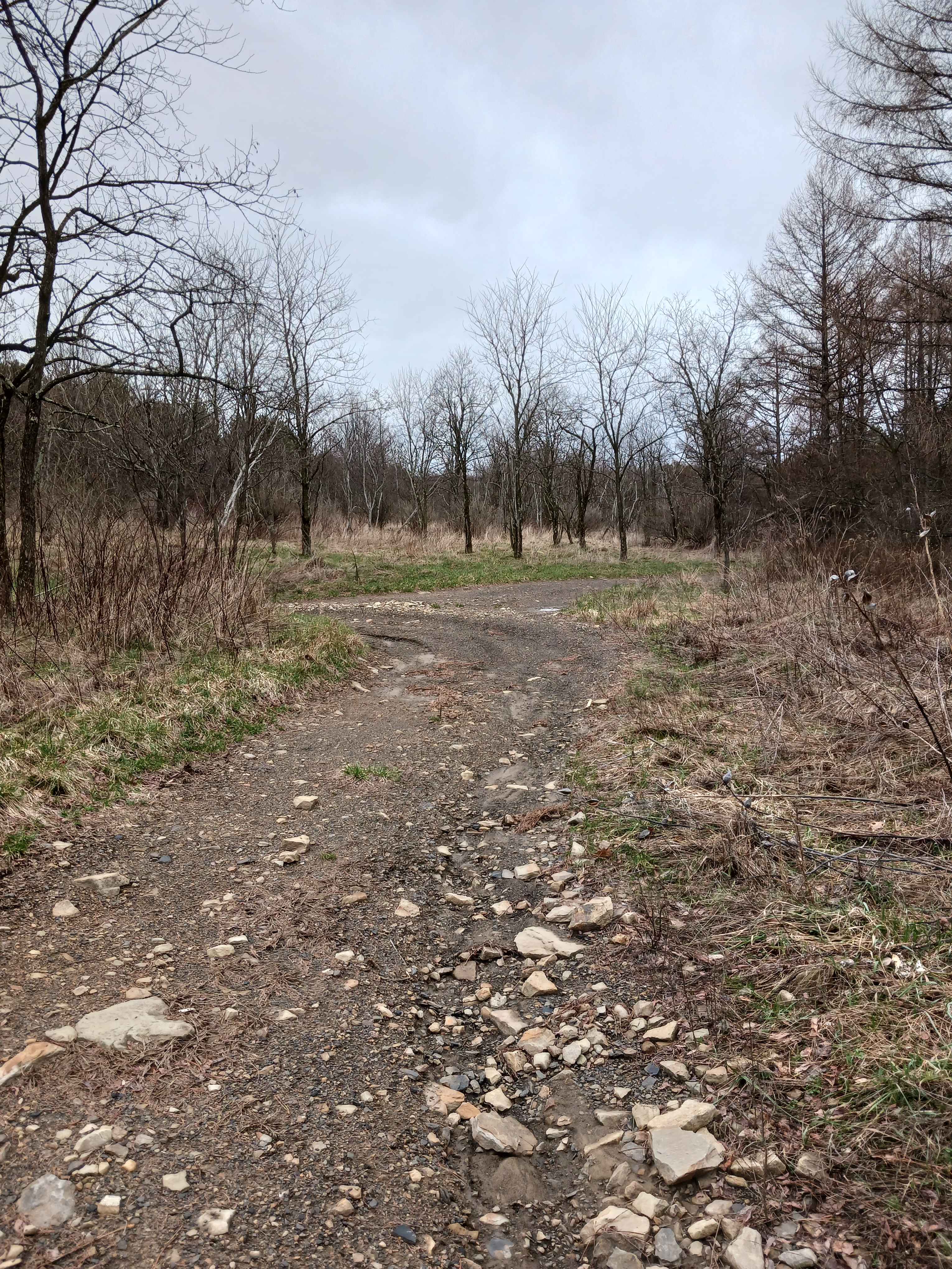 Trail 4P - Rock Run Recreation Area