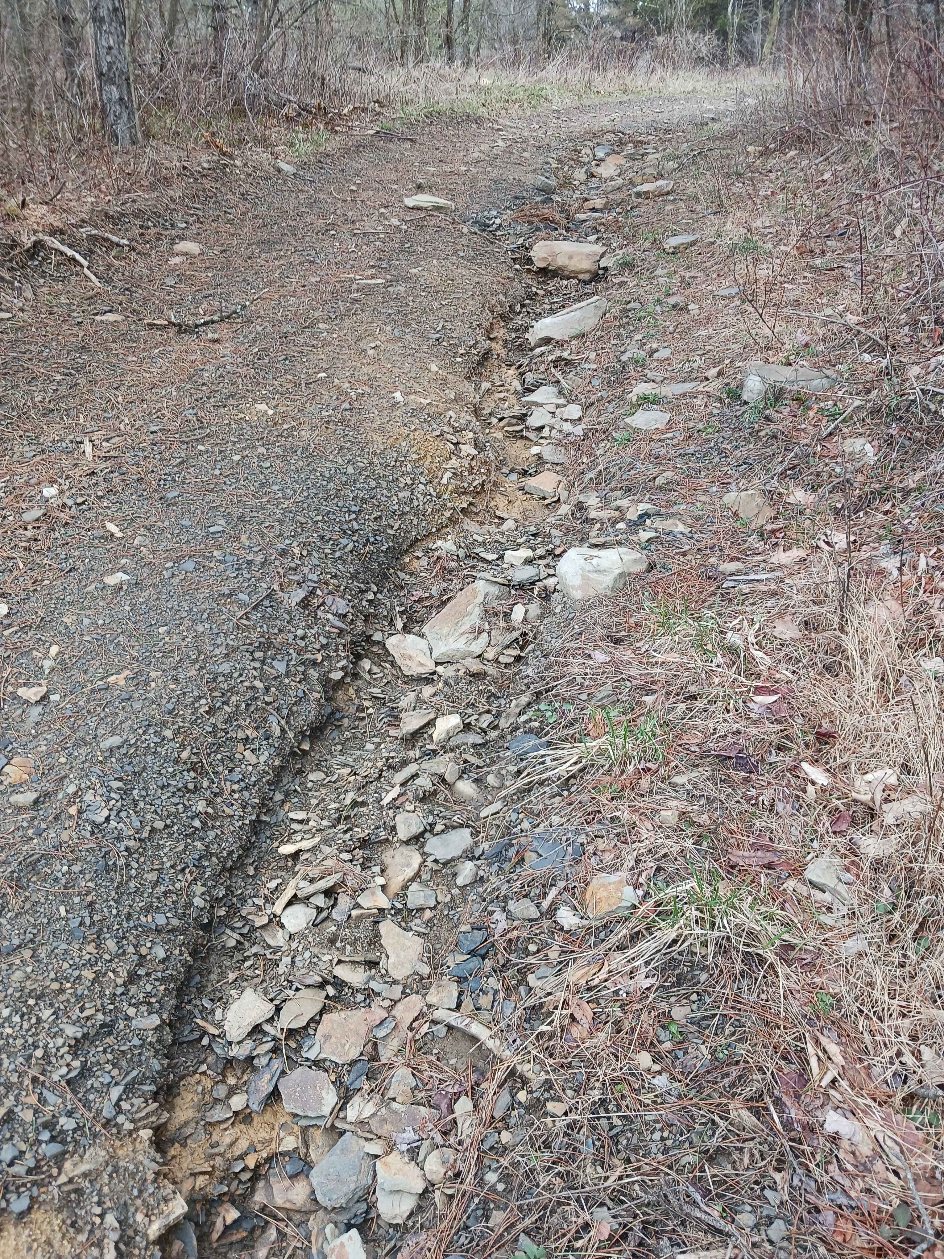 Trail 4P - Rock Run Recreation Area