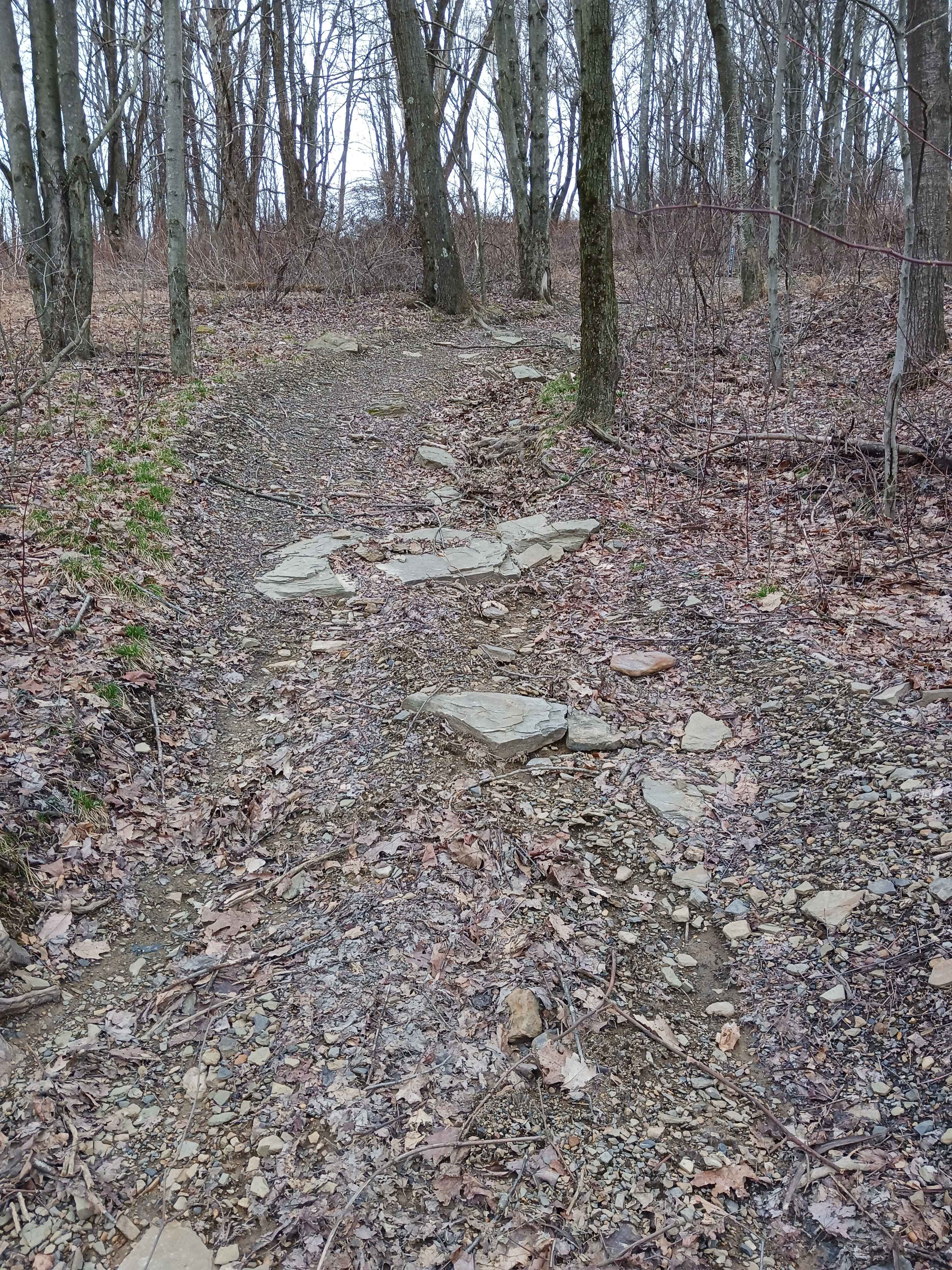 Trail 4A - Rock Run Recreation Area
