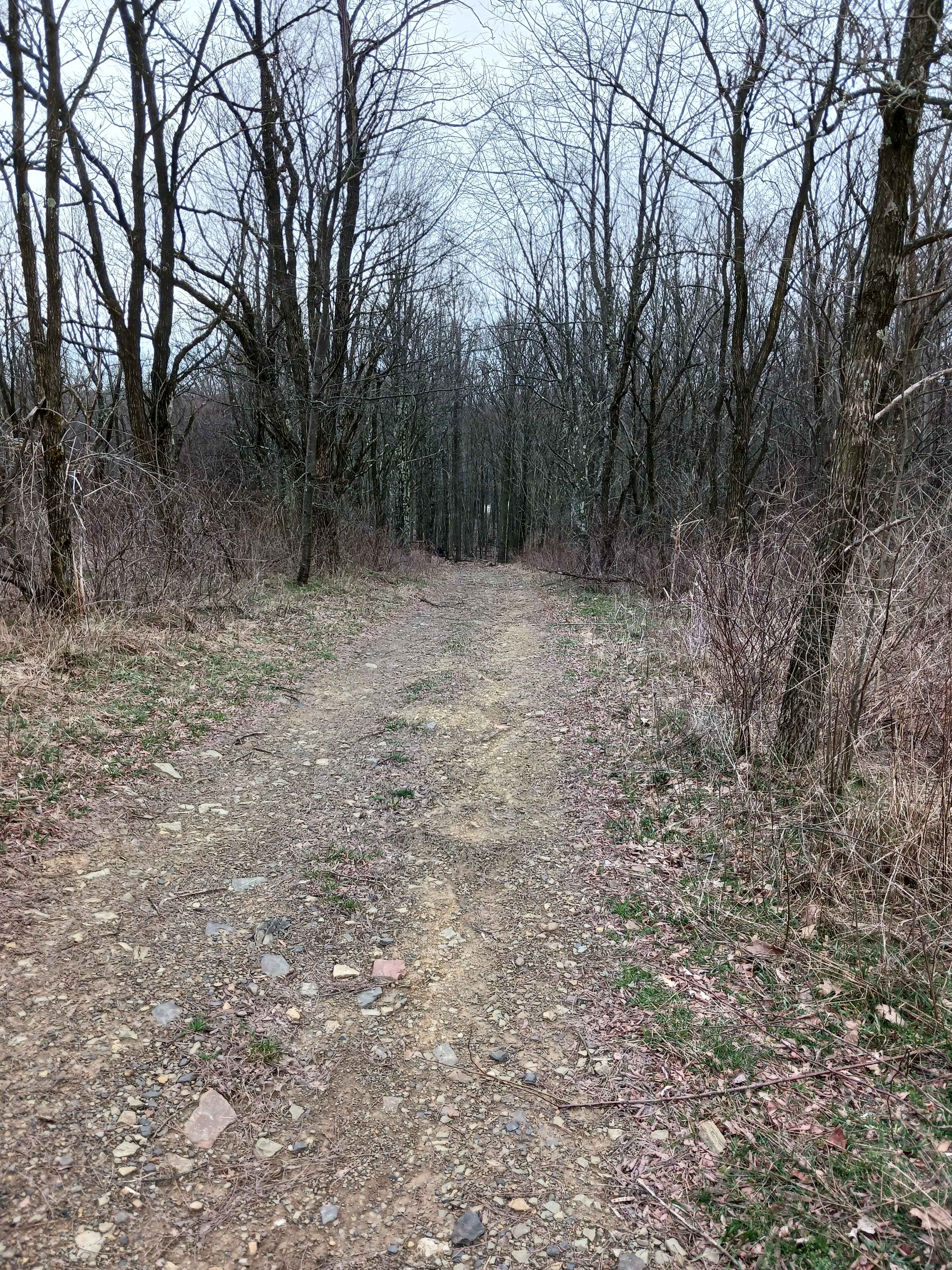 W Road - Rock Run Recreation Area