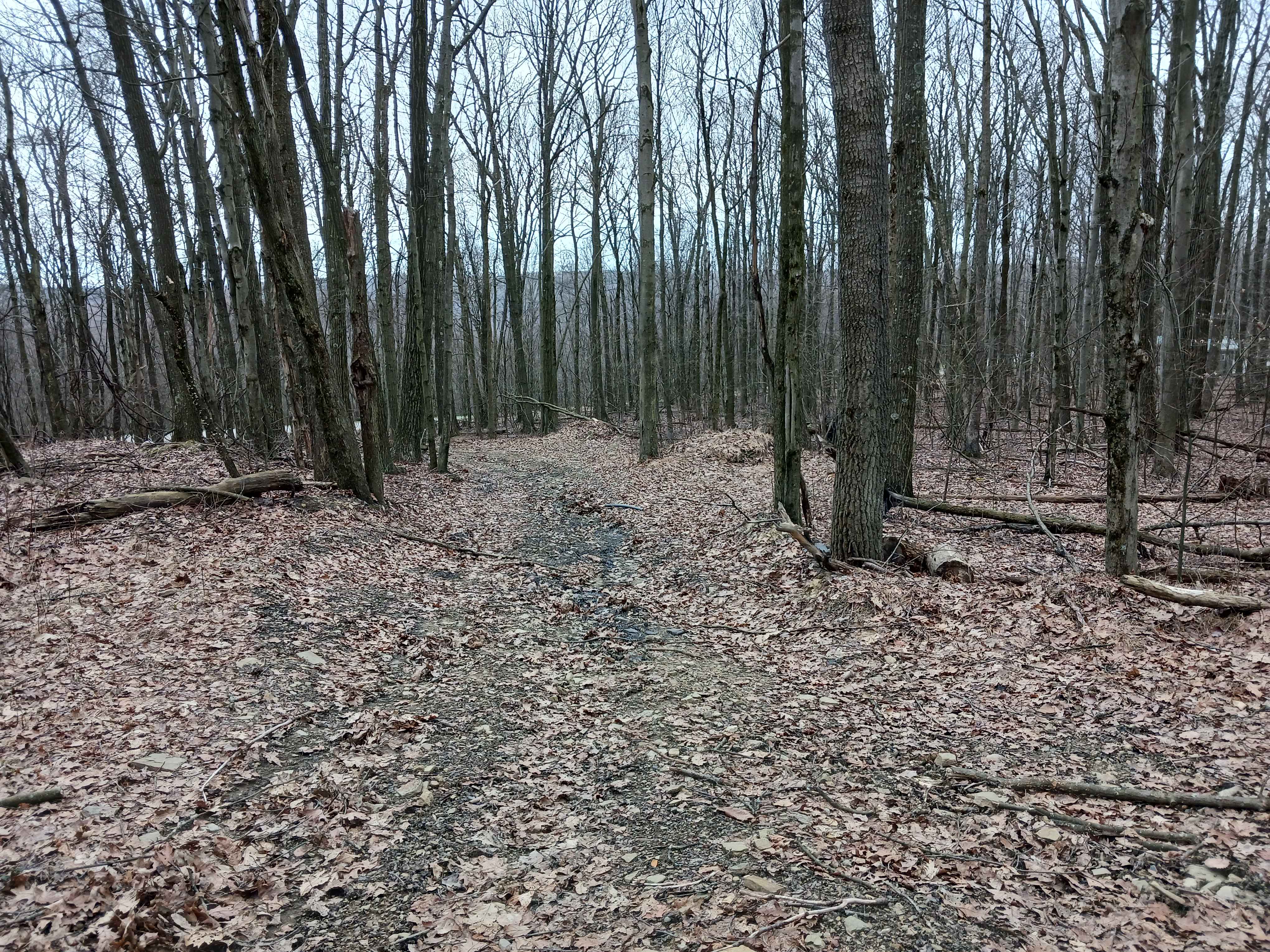 W Road - Rock Run Recreation Area