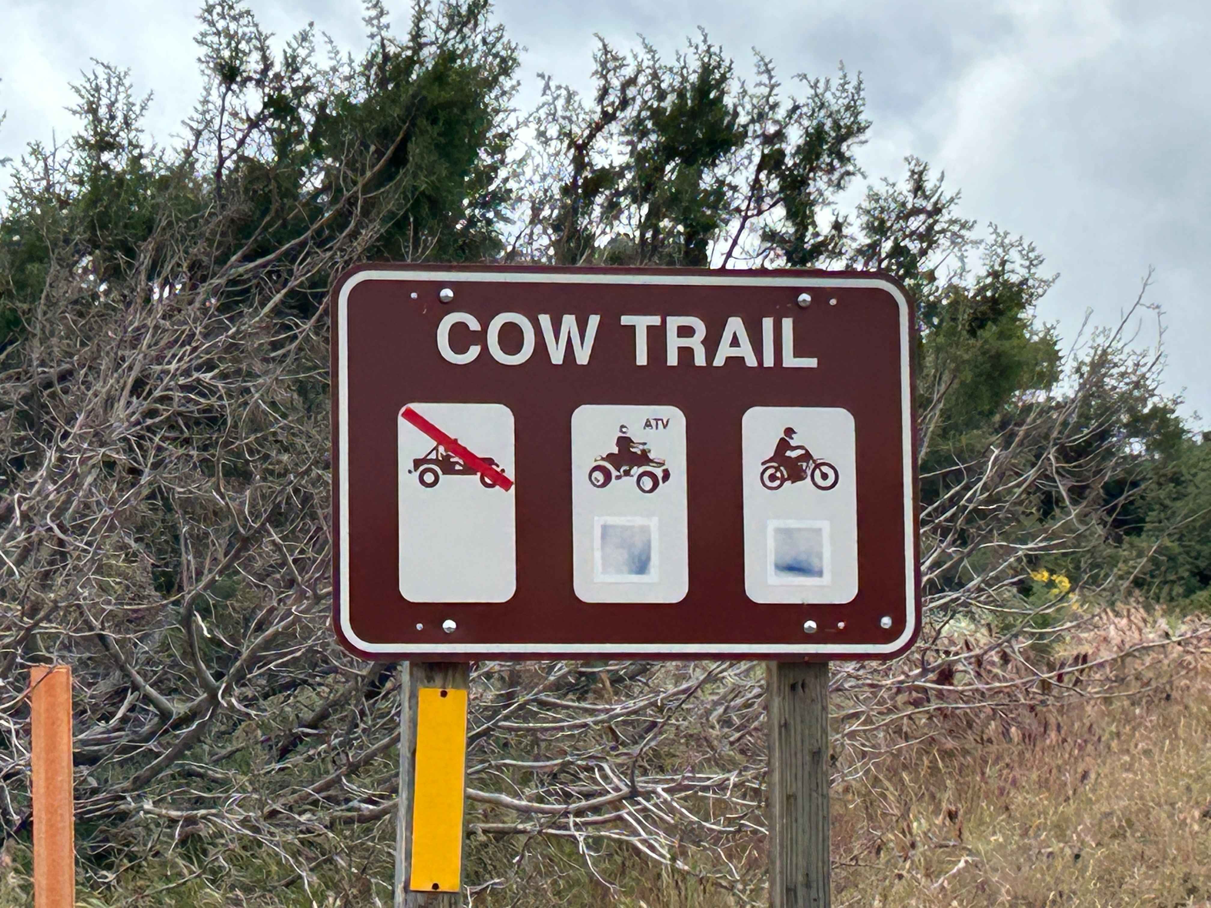 Cow Trail