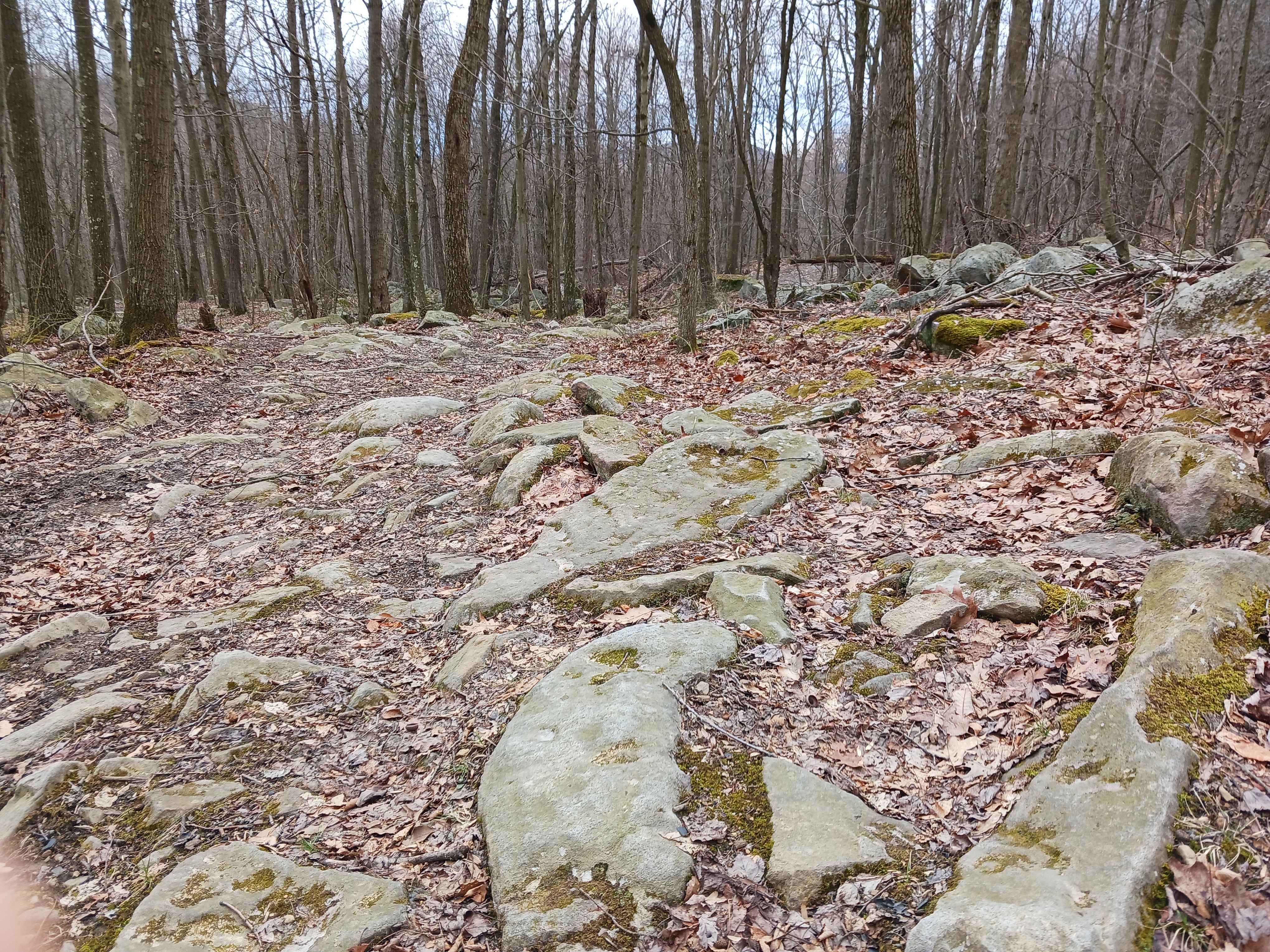 OHV 53 - Rock Run Recreation Area