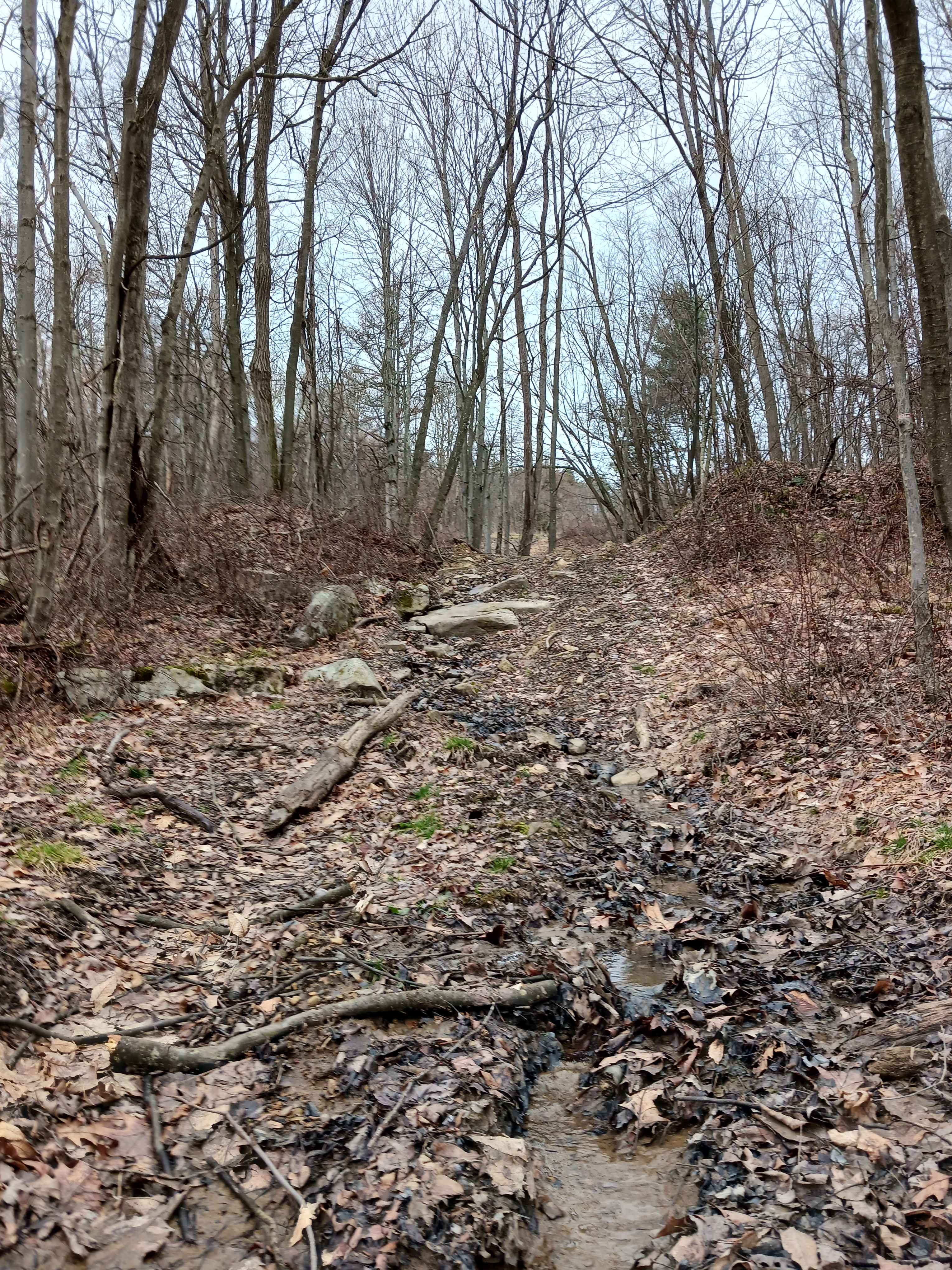 OHV 53 - Rock Run Recreation Area