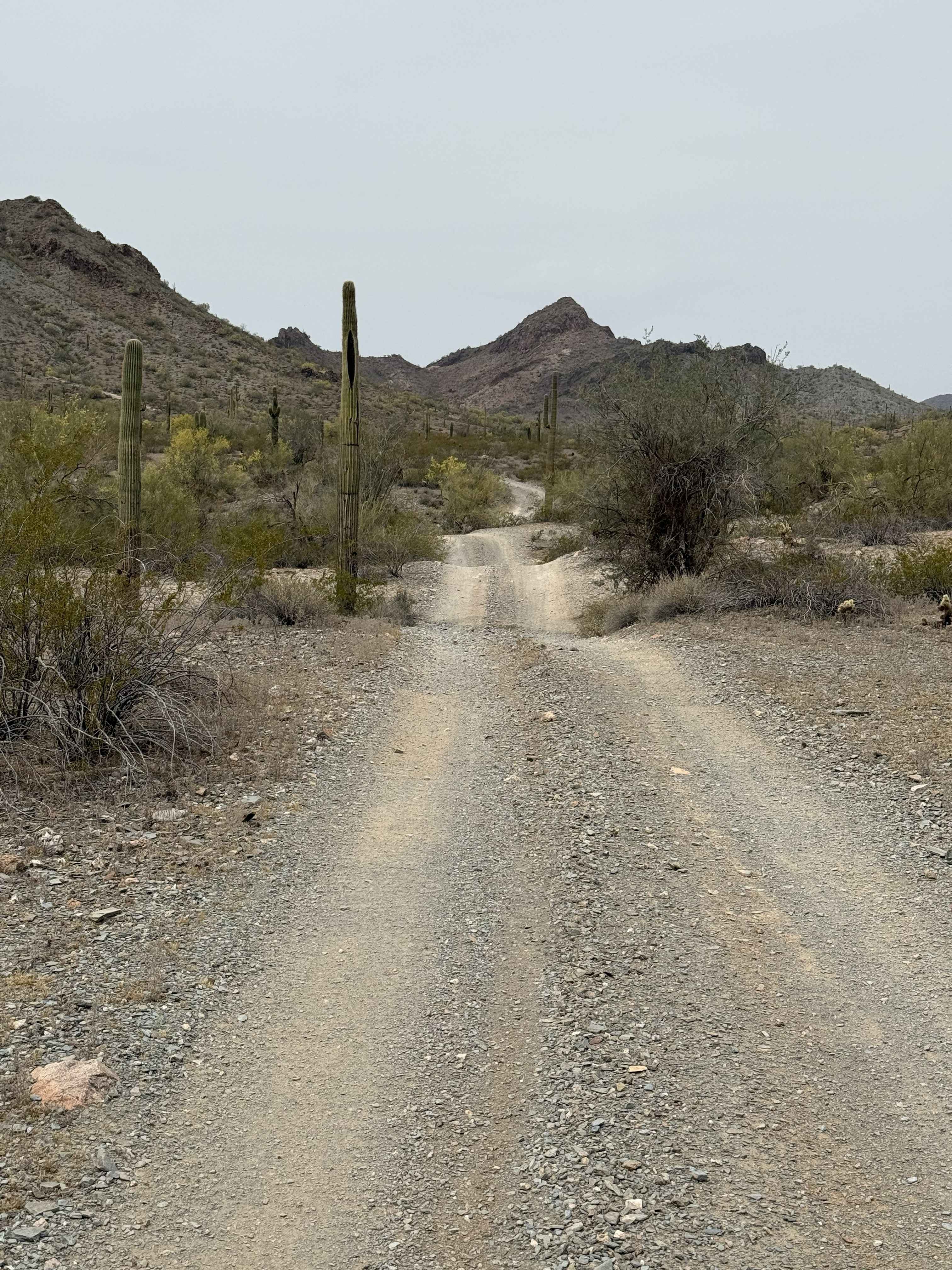 Abandoned Mine Trail - 24010