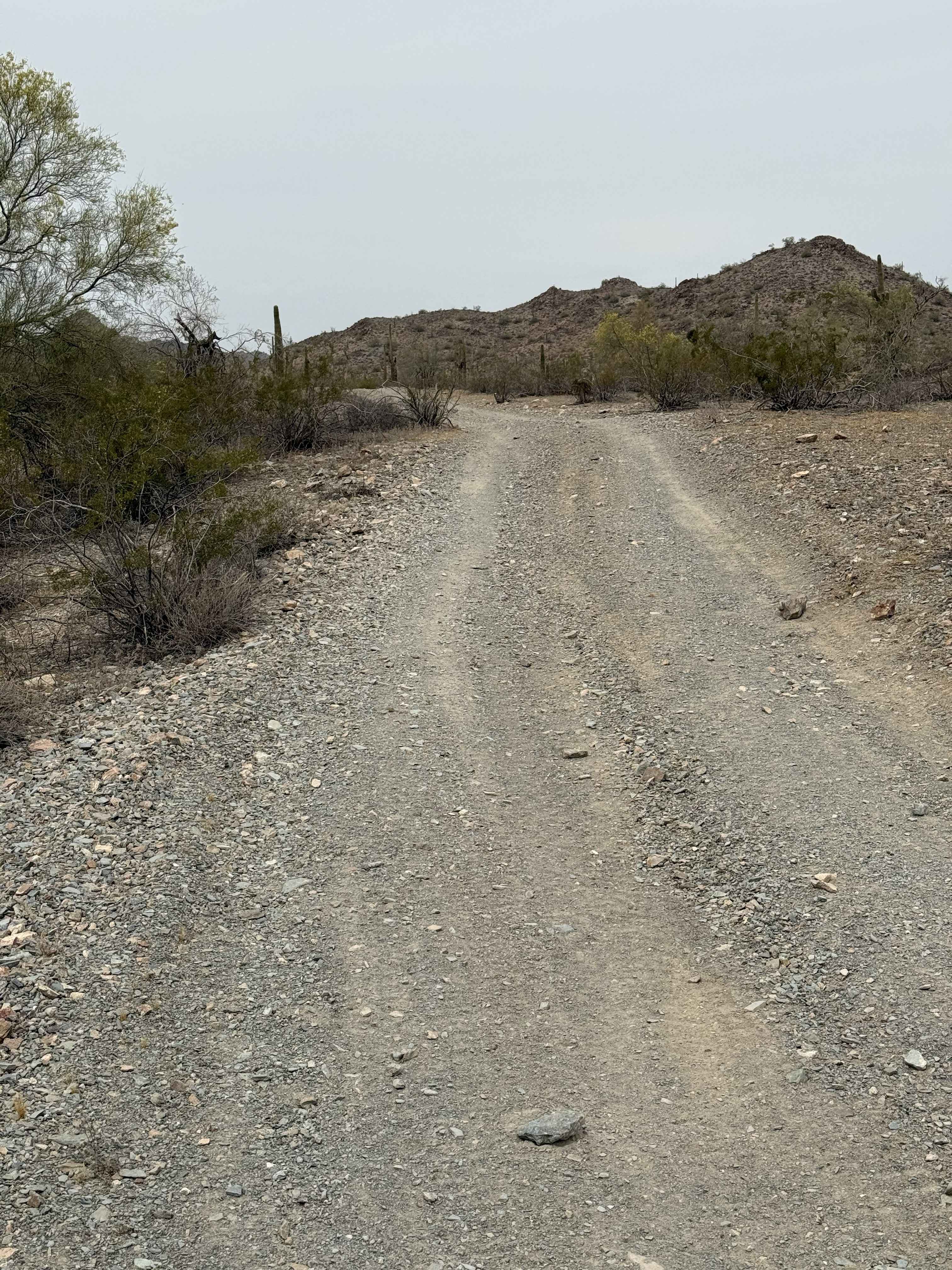 Abandoned Mine Trail - 24010