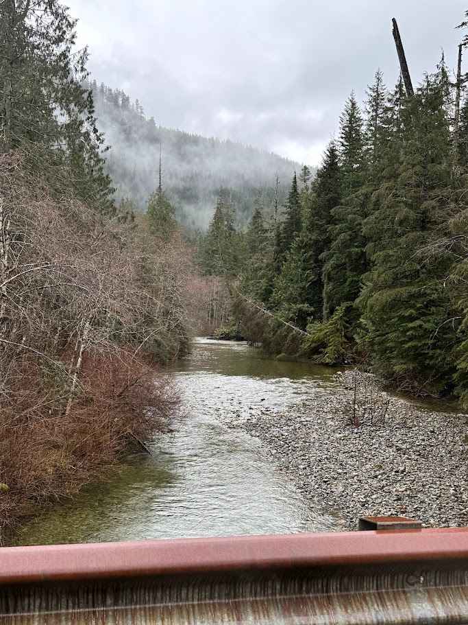 North Fork Road - FS 573