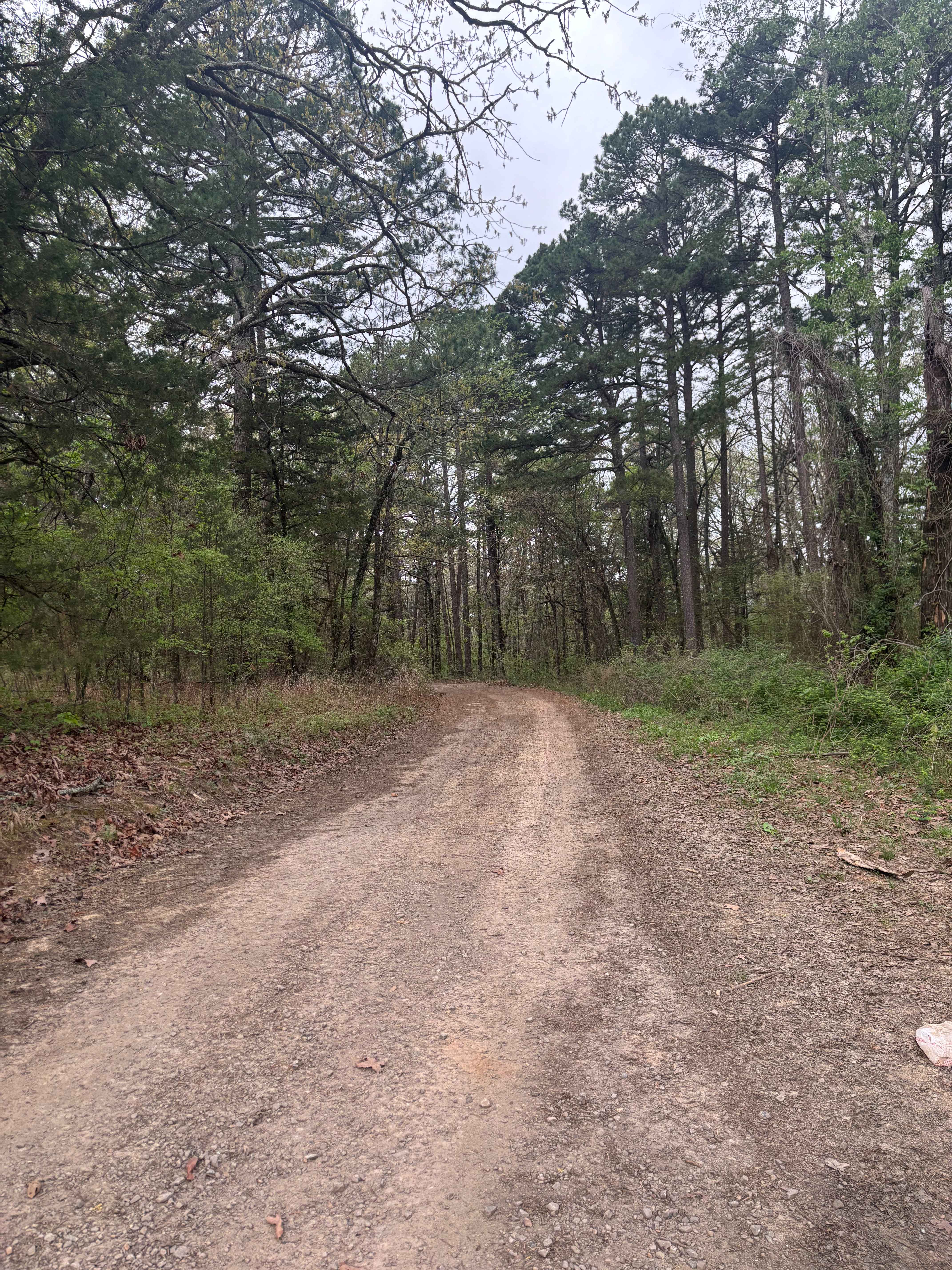 West Fork Point Remove Creek