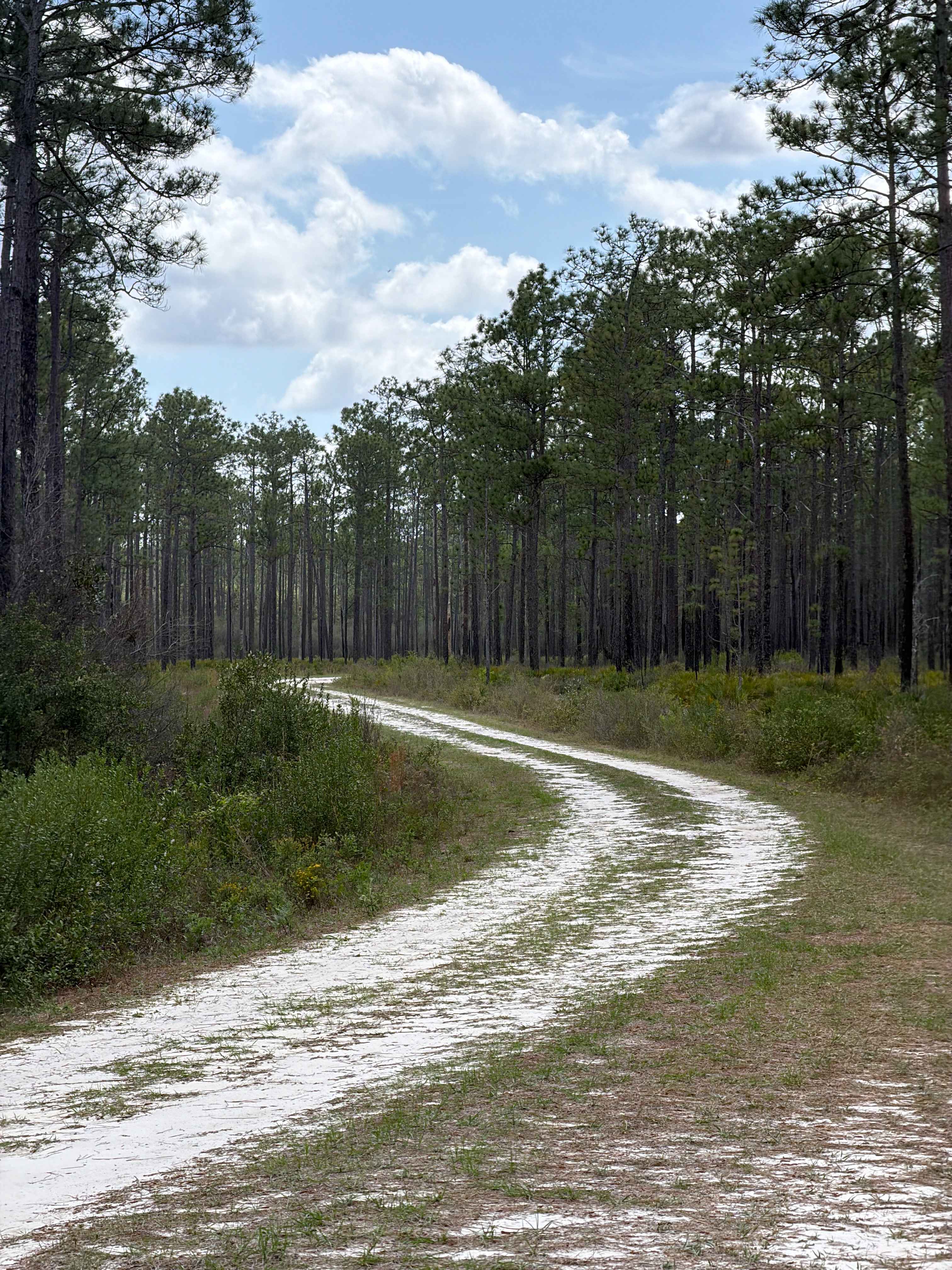 High Hill Creek - FS 316