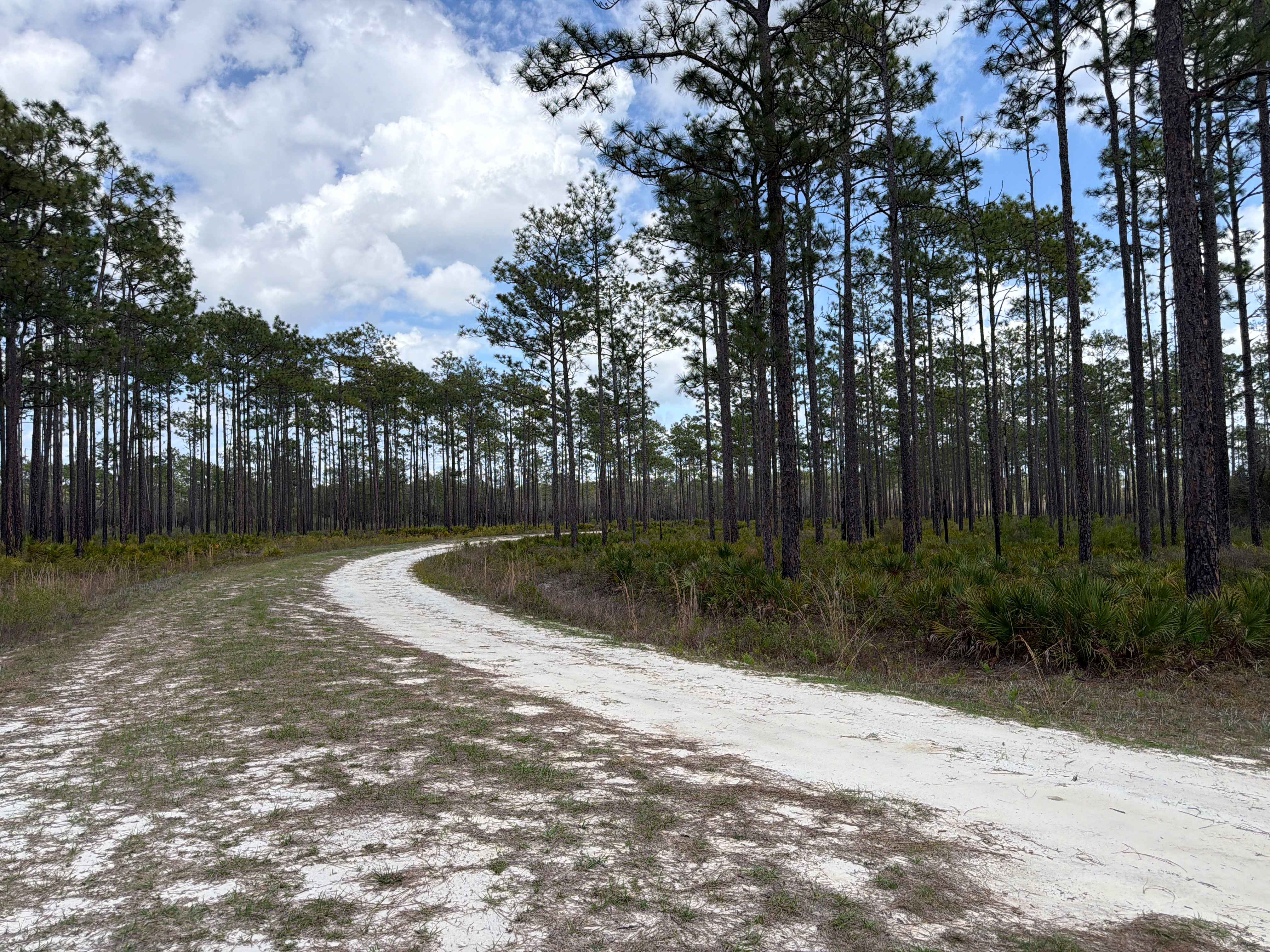 High Hill Creek - FS 316