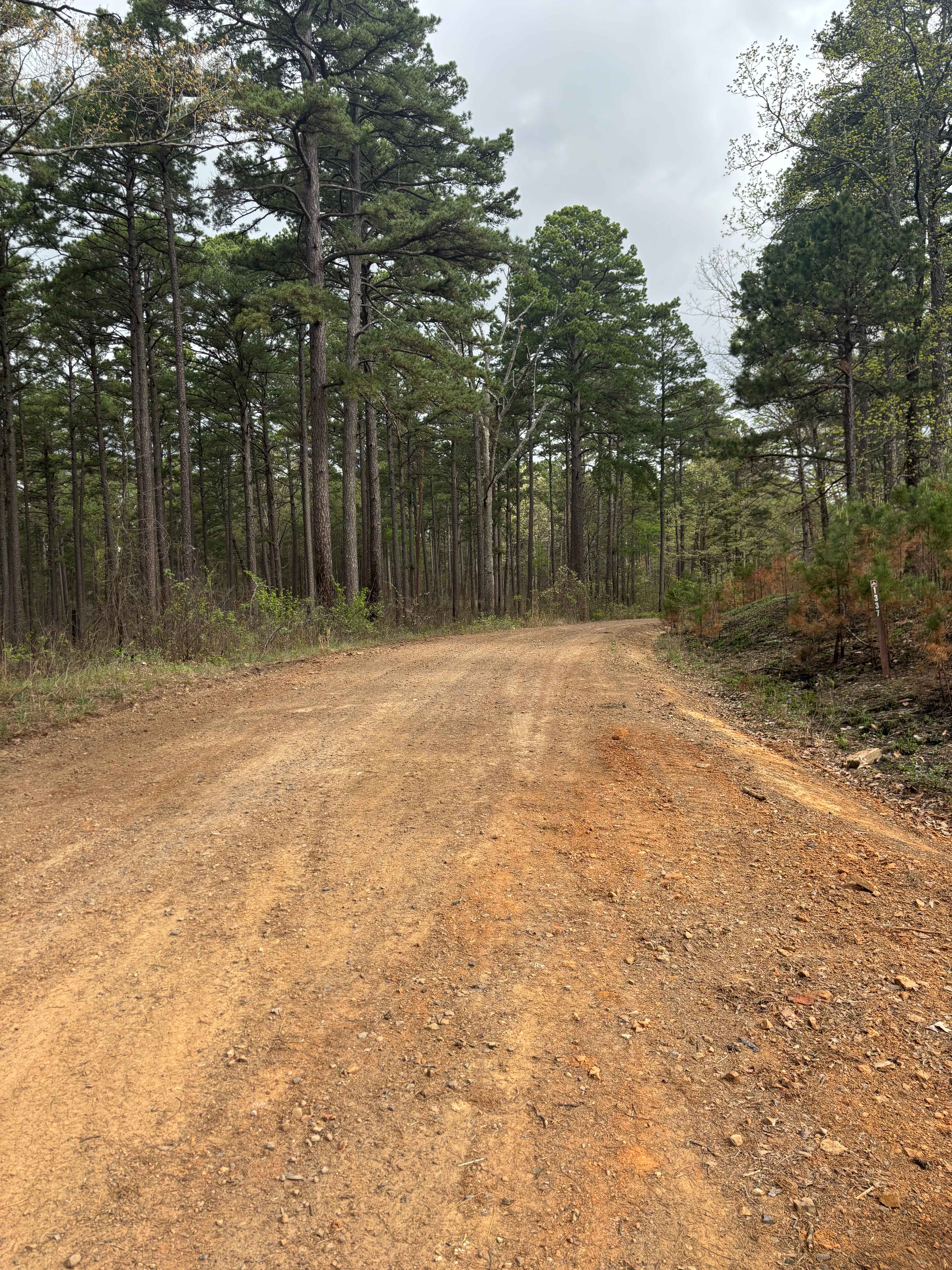 Tackett Mountain 1337