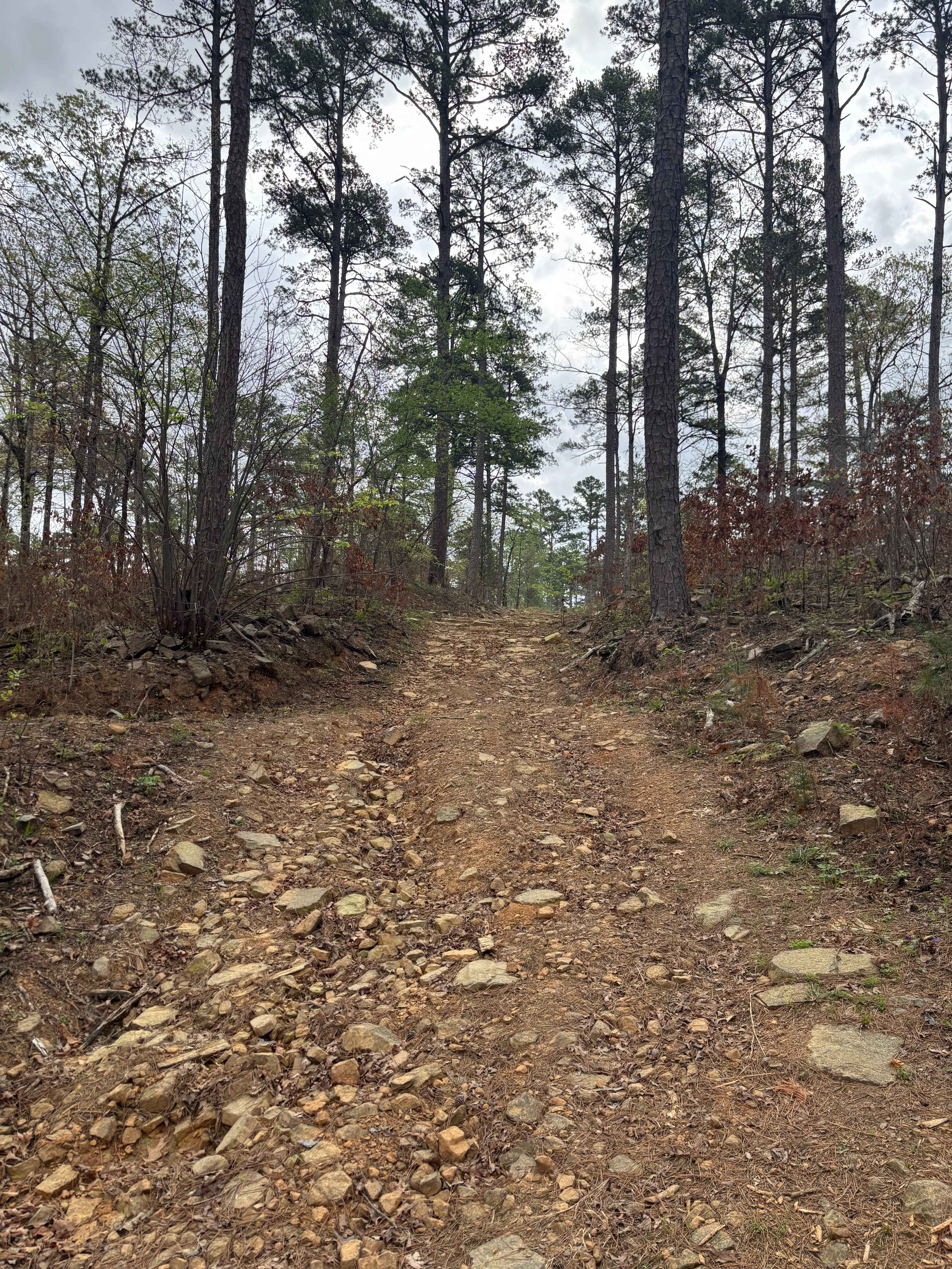 Tackett Mount Summit Trail
