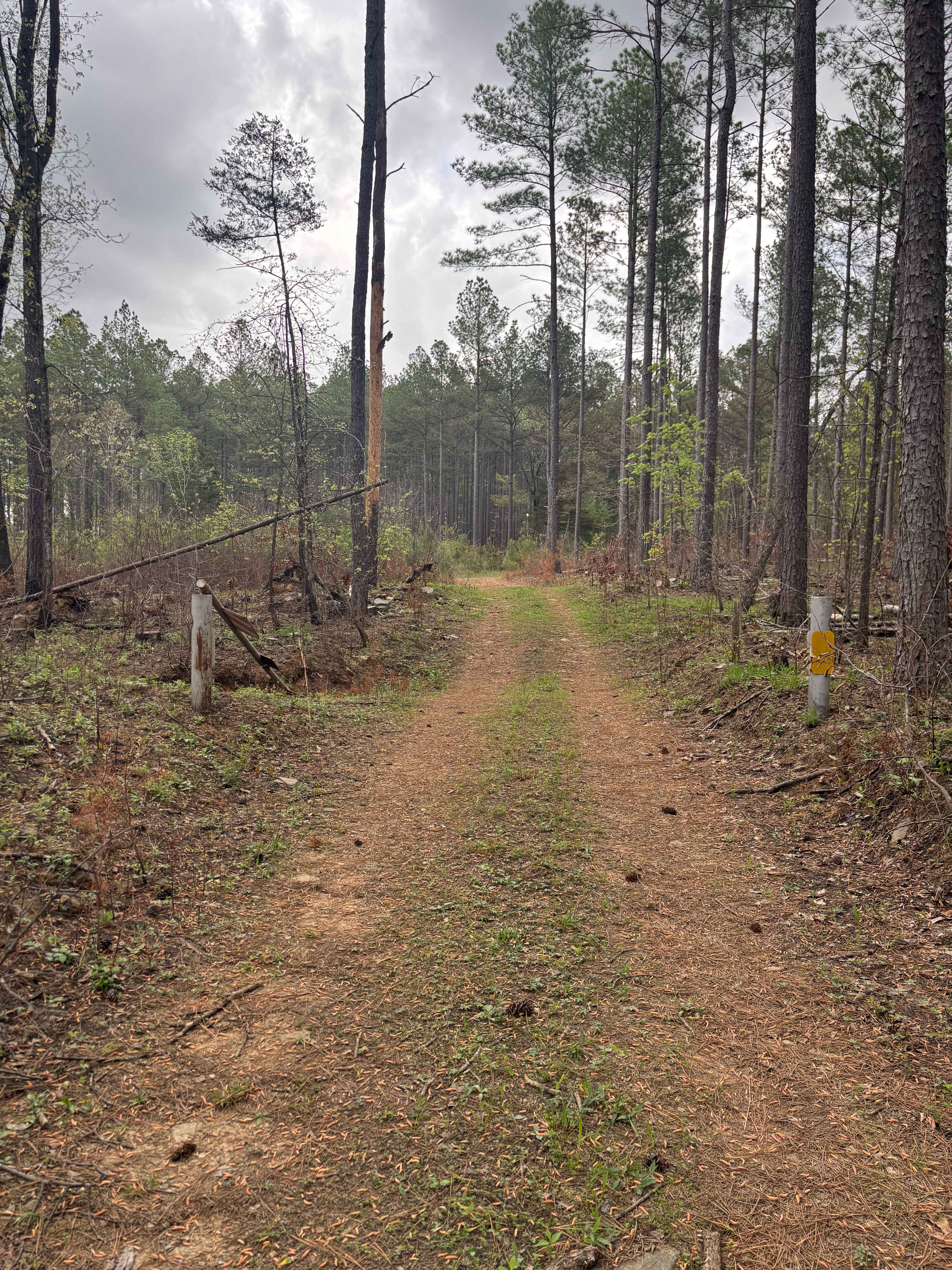 Tackett Mount Summit Trail