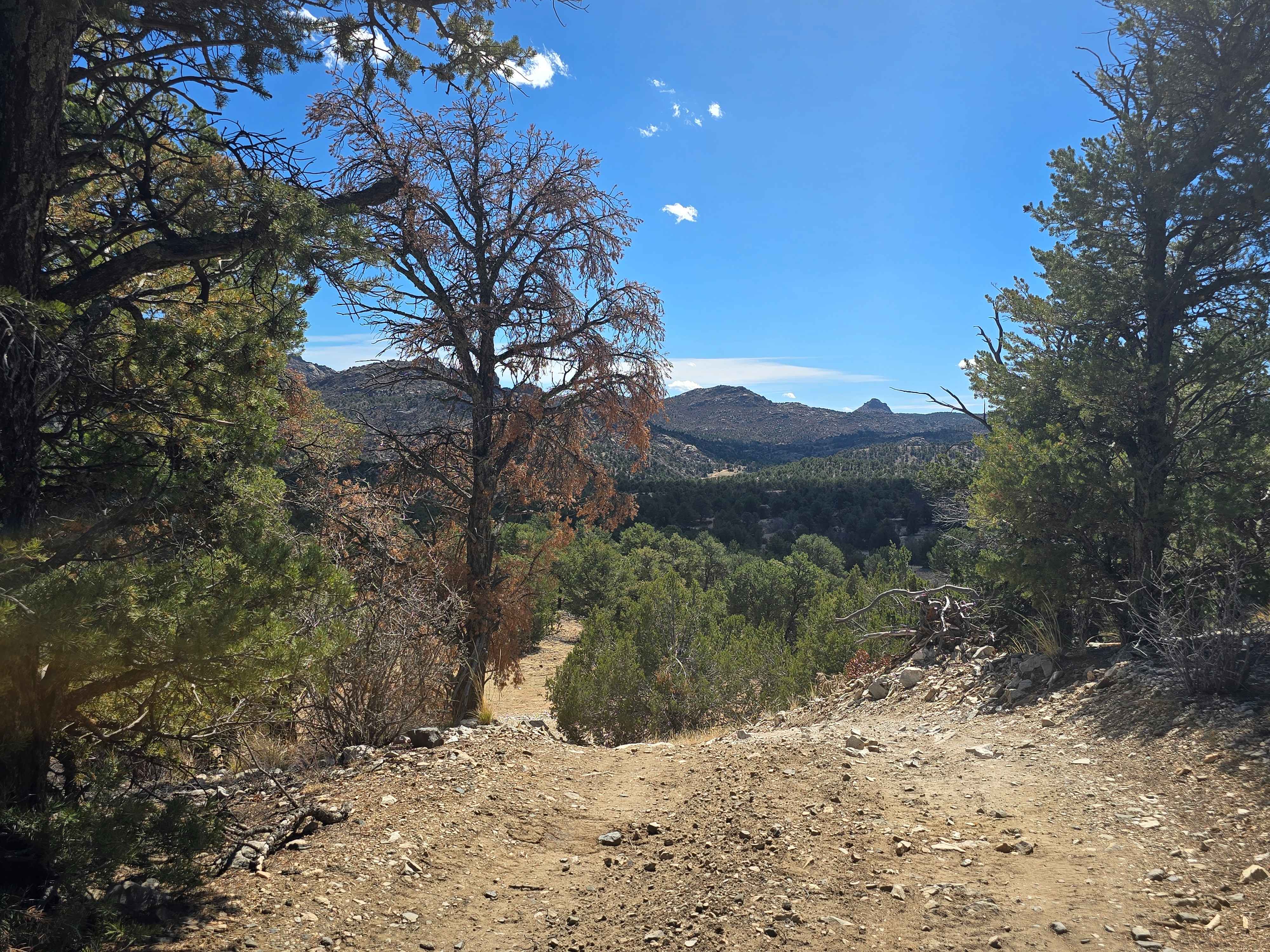 South Fern Leaf Gulch Road - BLM 6140