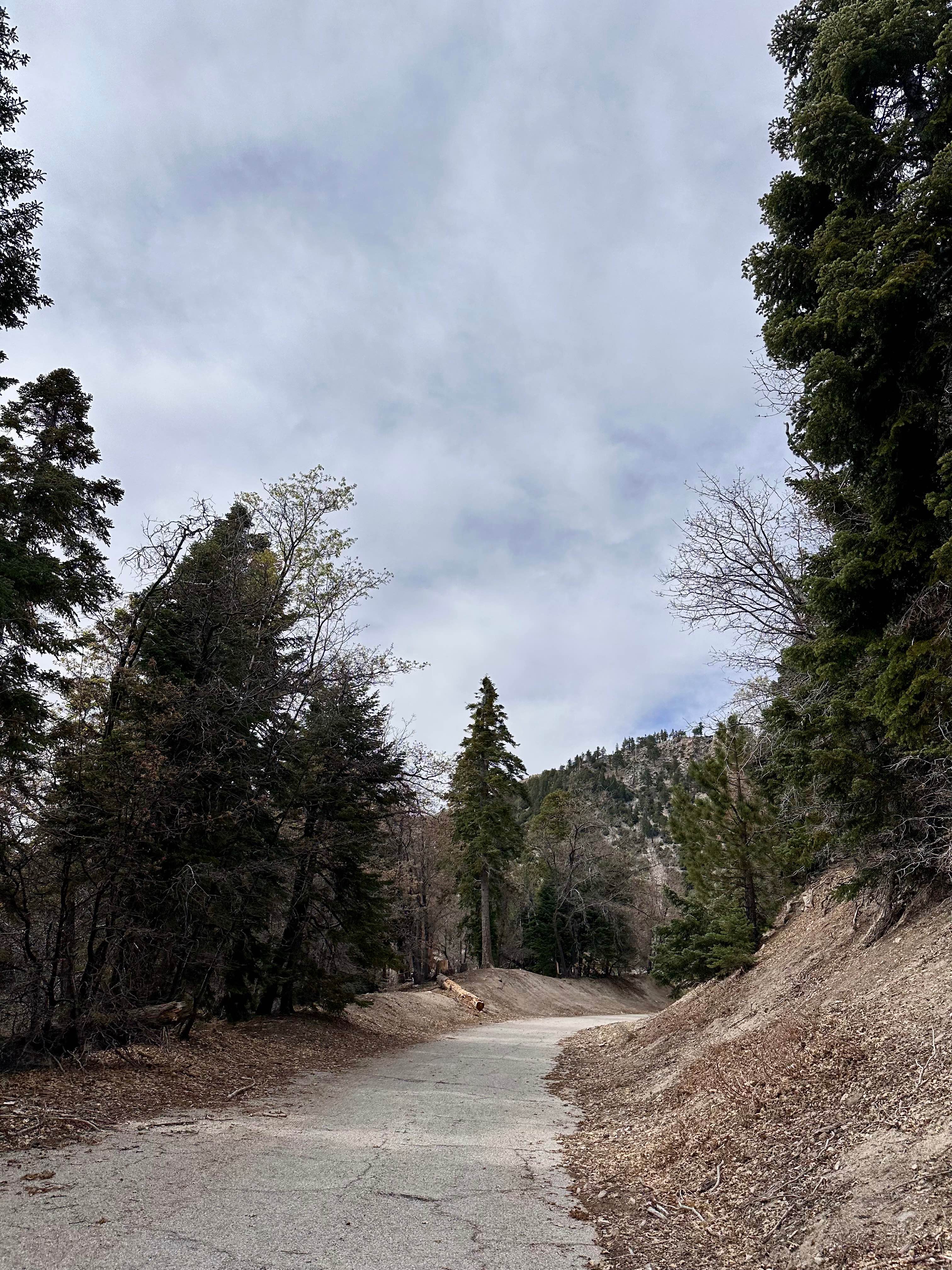 Glory Ridge - 2N15 (alternate)