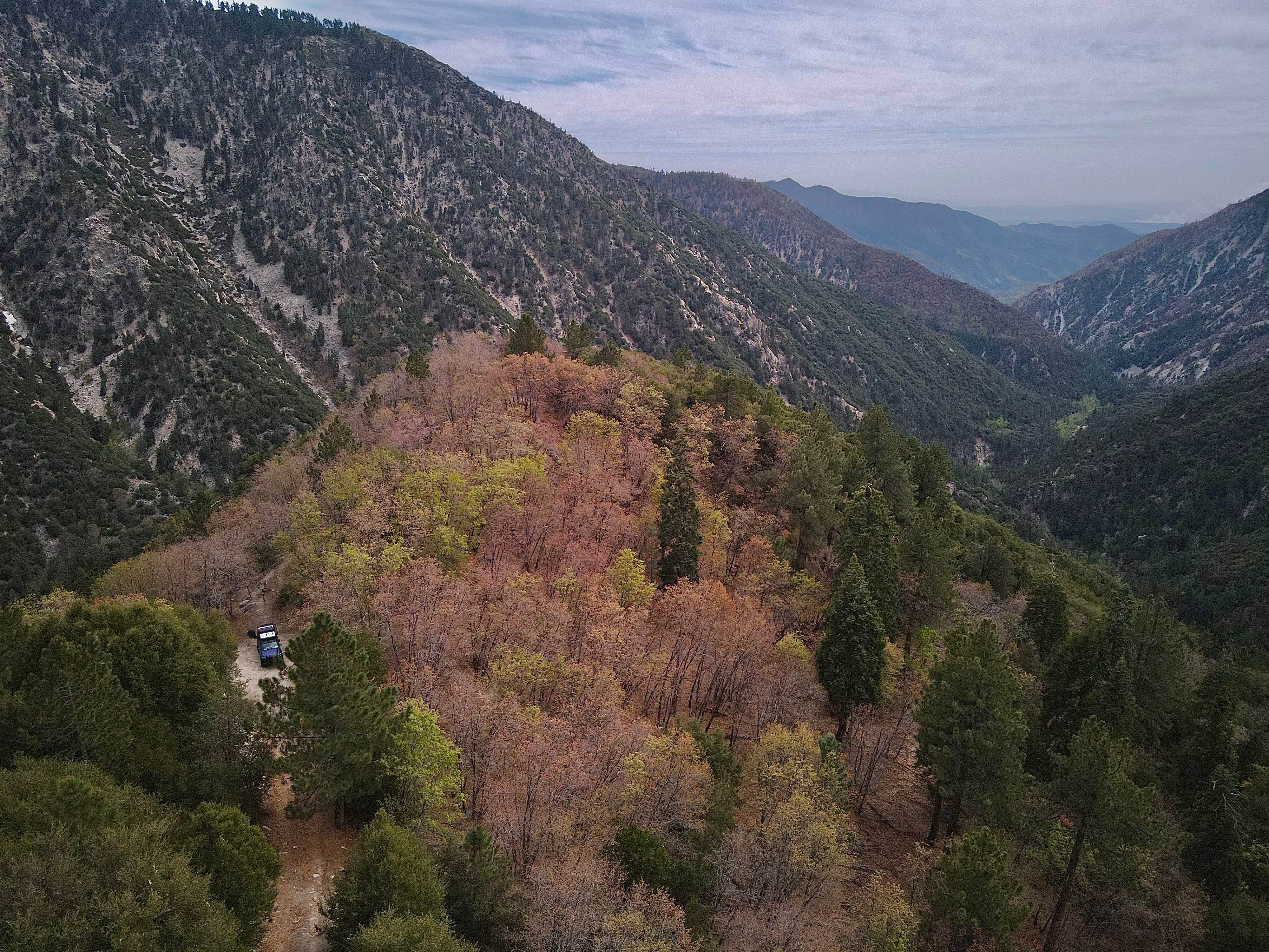 Glory Ridge - 2N15 (alternate)