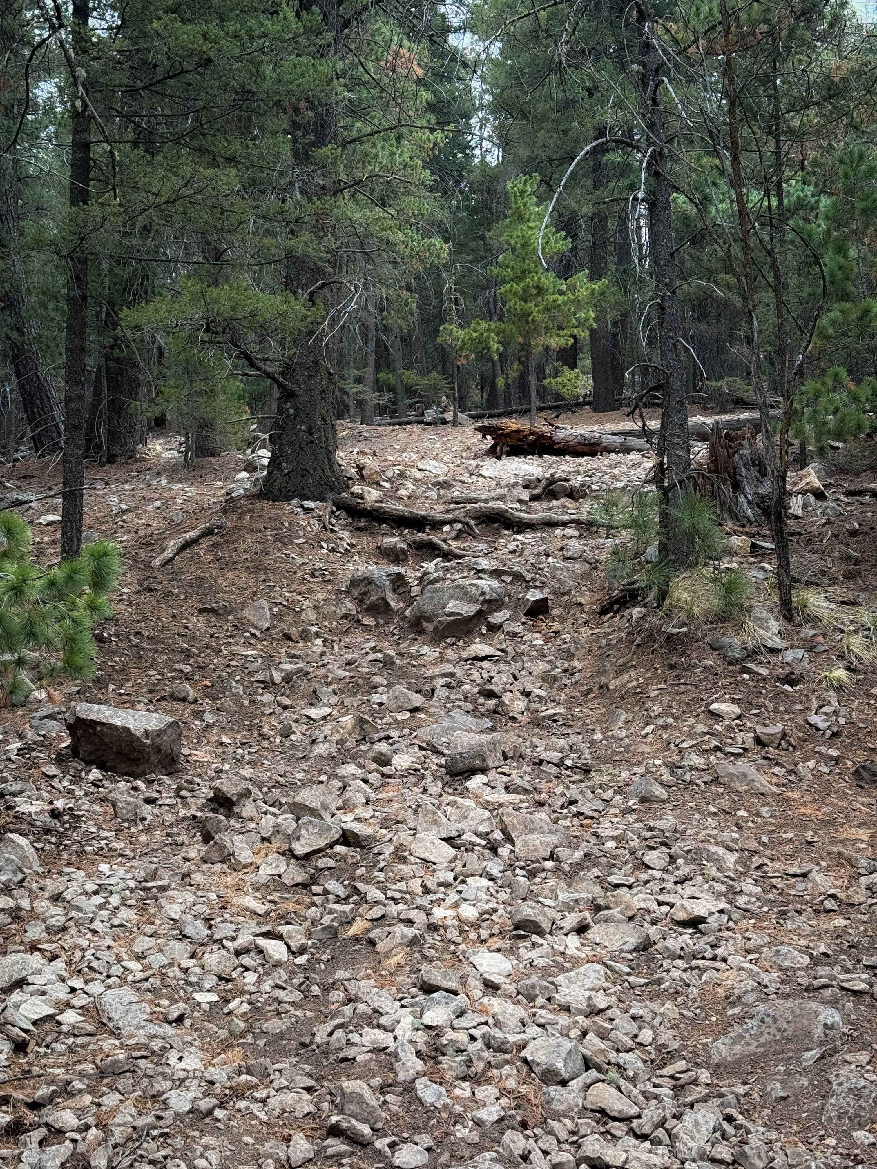 Benson/Bluff Springs - FS 5006