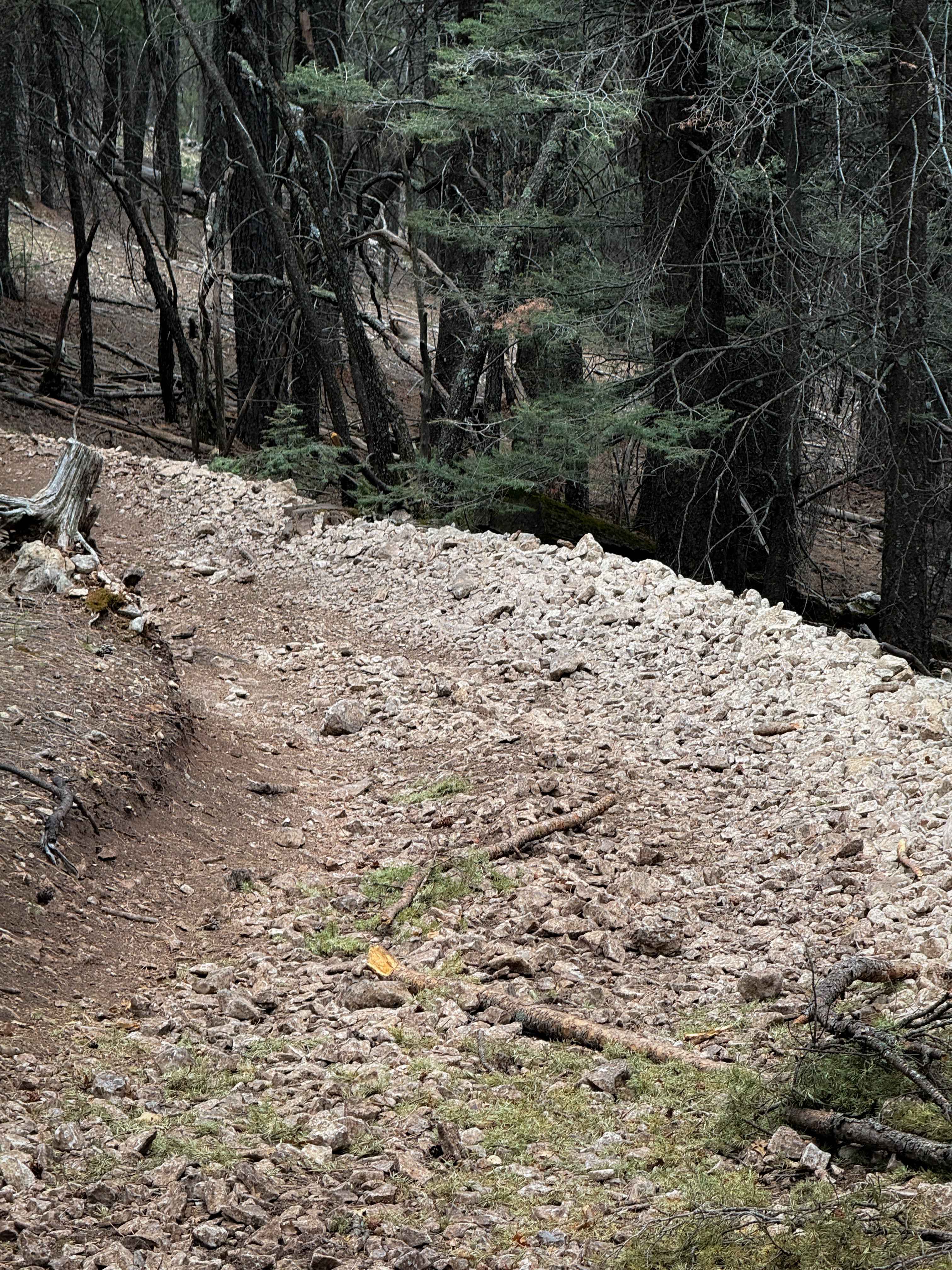 Benson/Bluff Springs - FS 5006