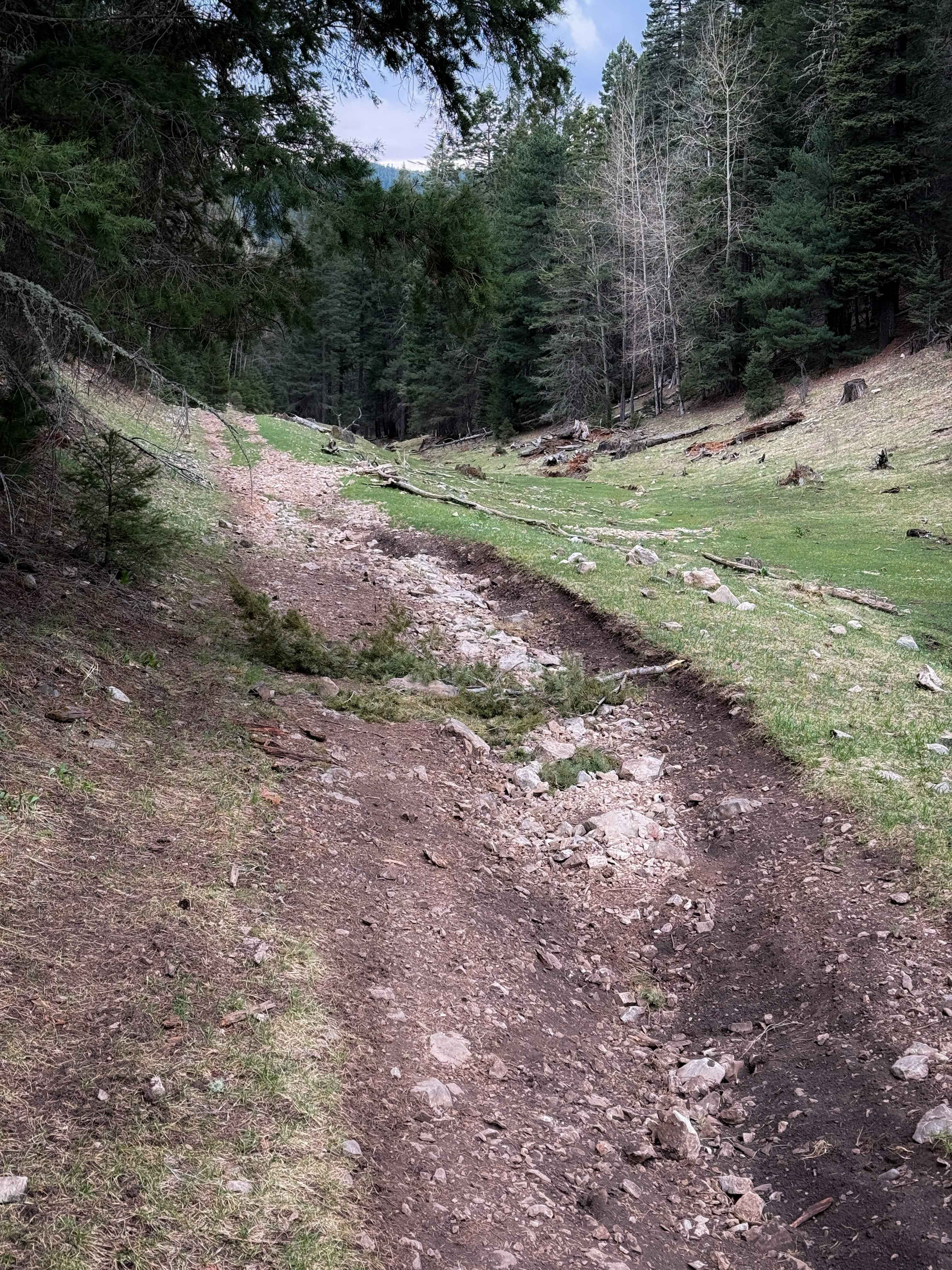 Taylor Canyon - FS 5007