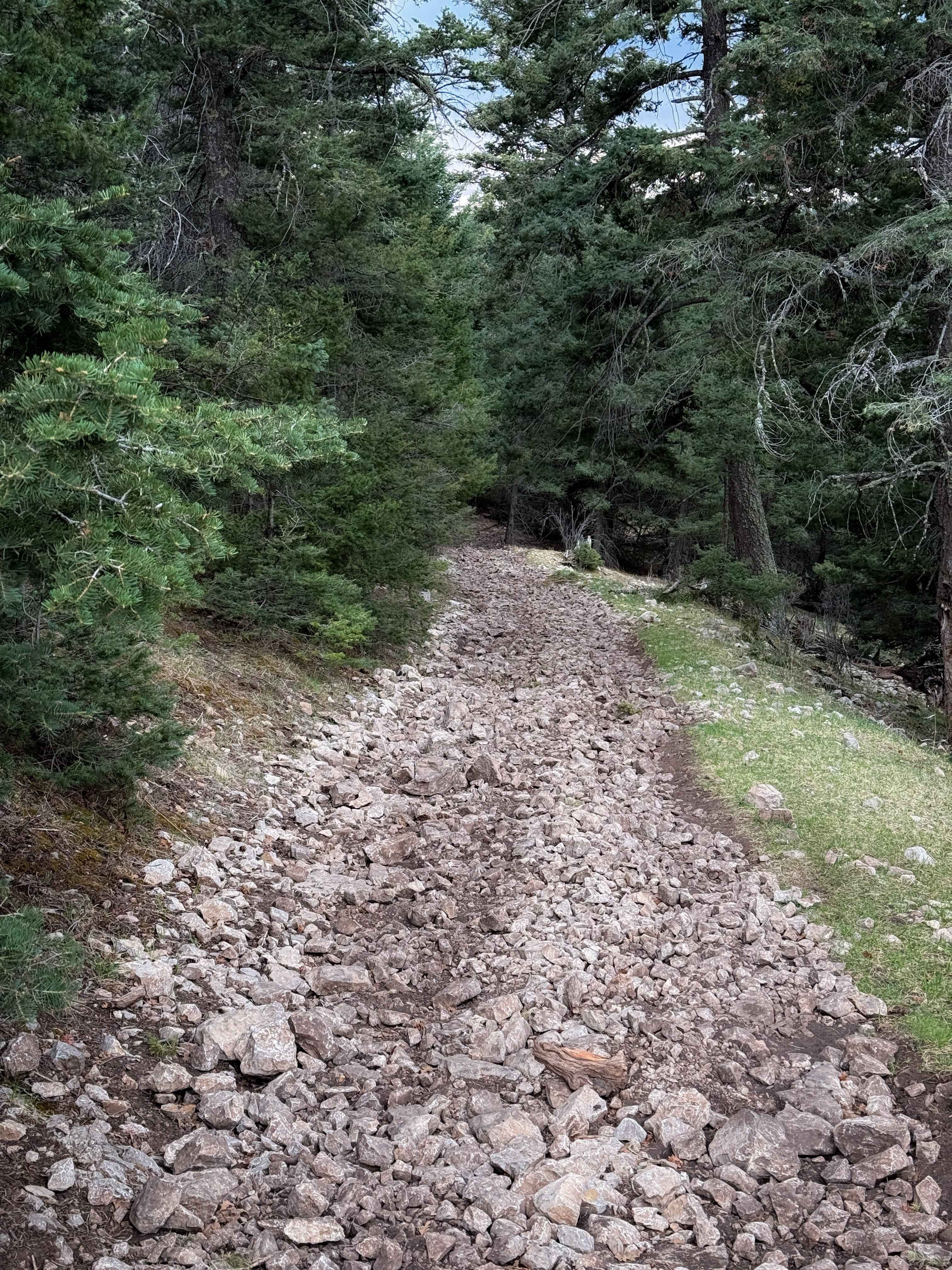 Schofield/Benson - FS 5007C