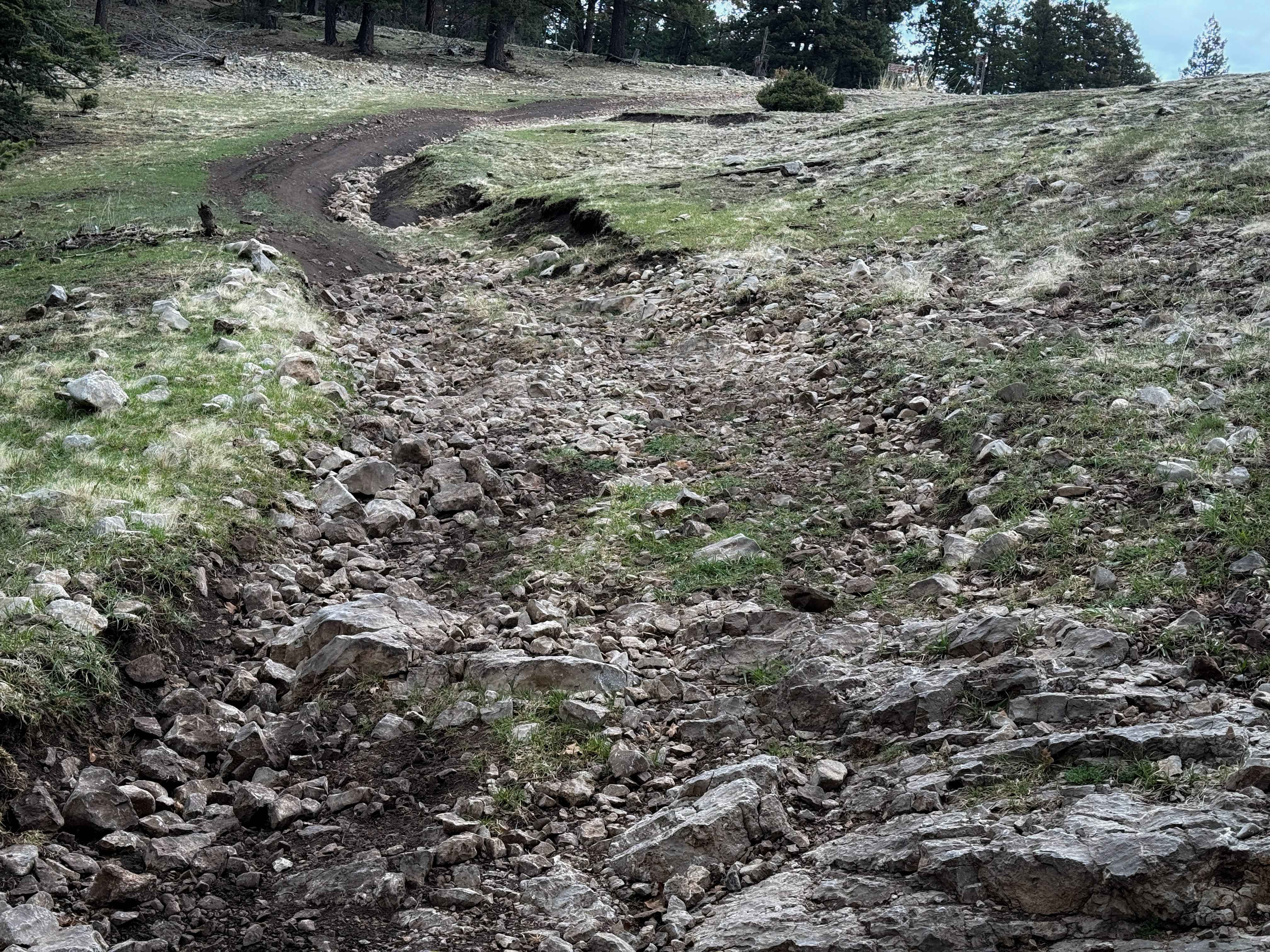 Schofield/Benson - FS 5007C