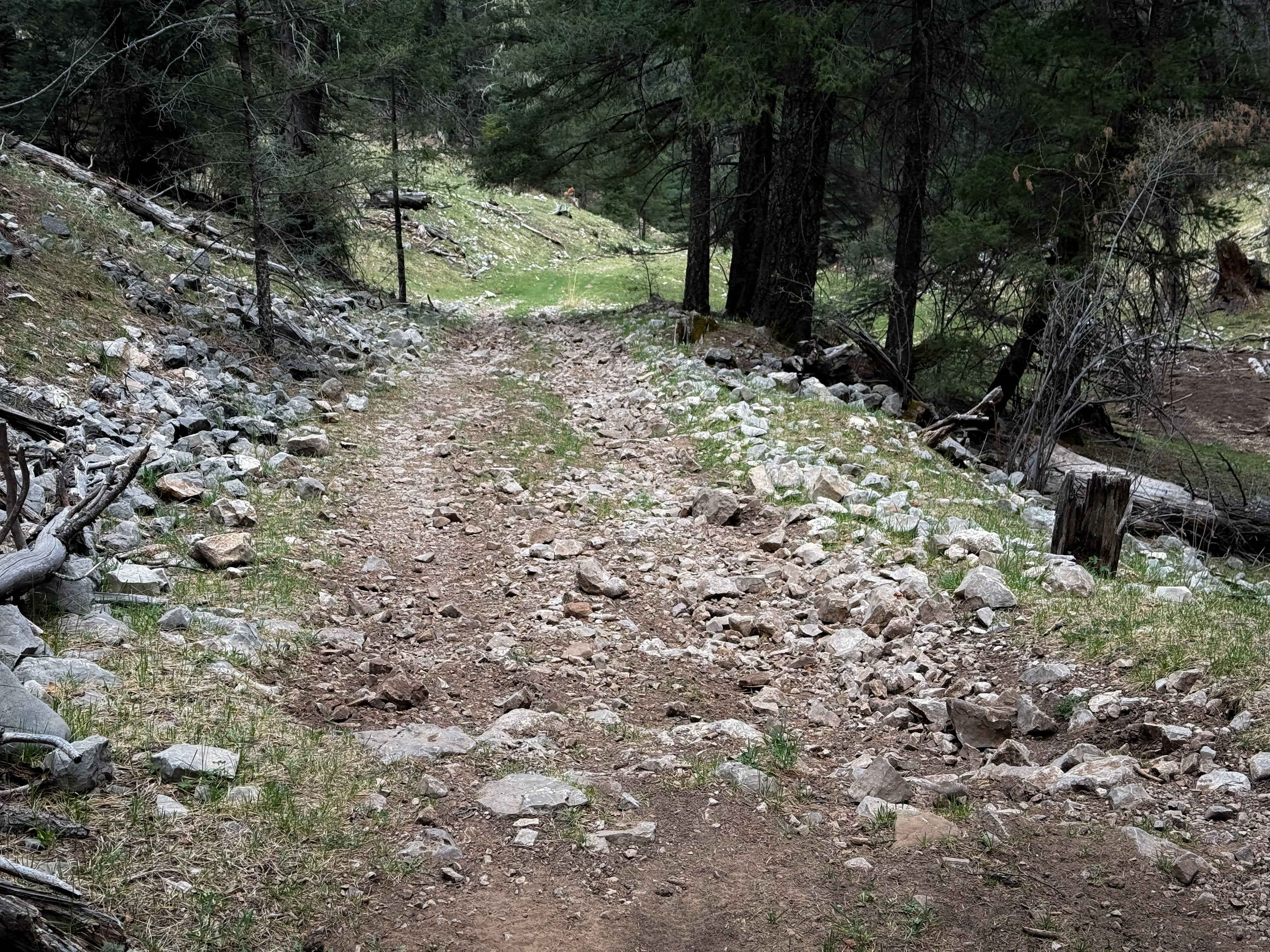 Schofield Canyon Trail - FS 5007A