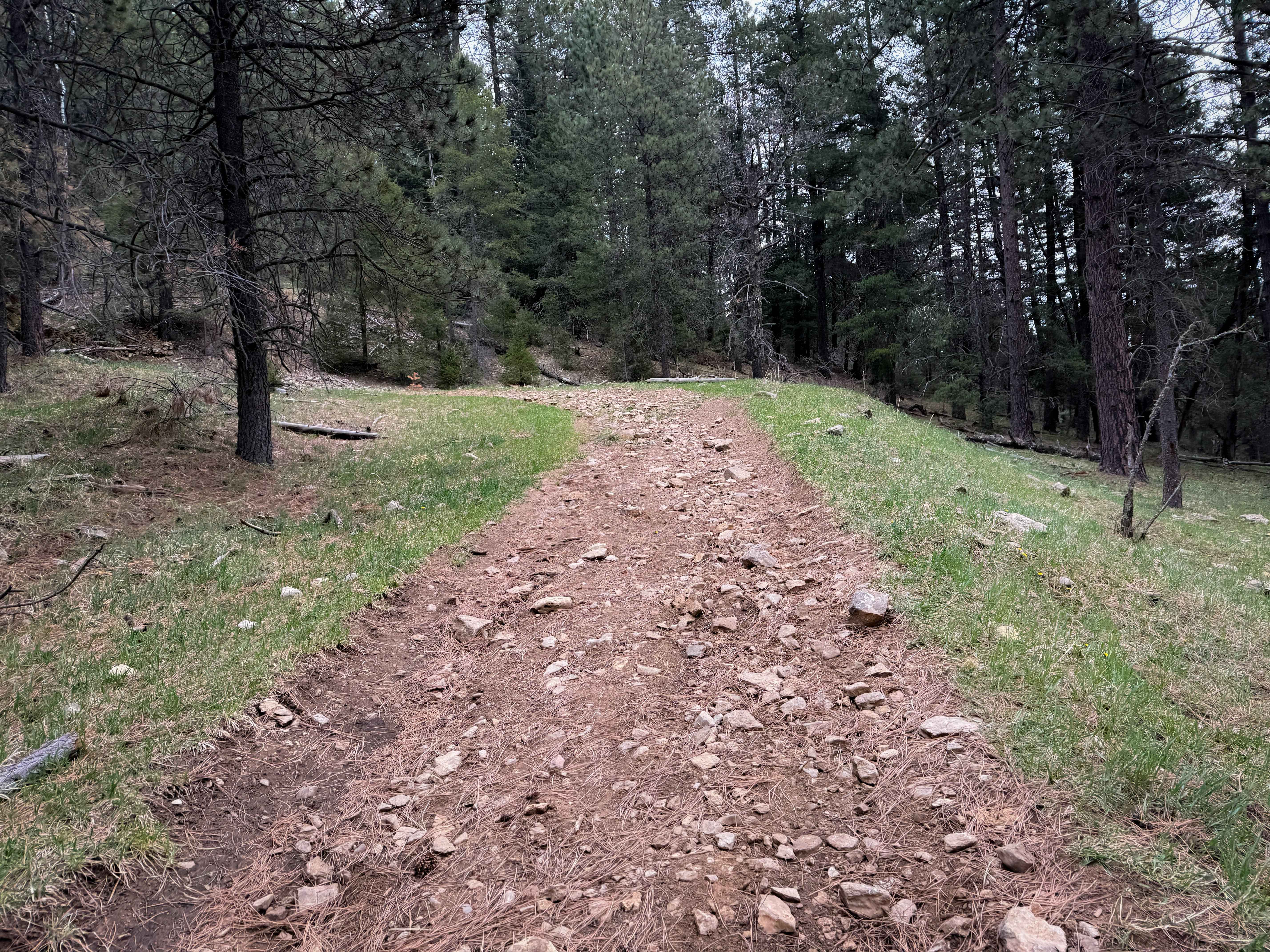 Schofield Canyon Trail - FS 5007A
