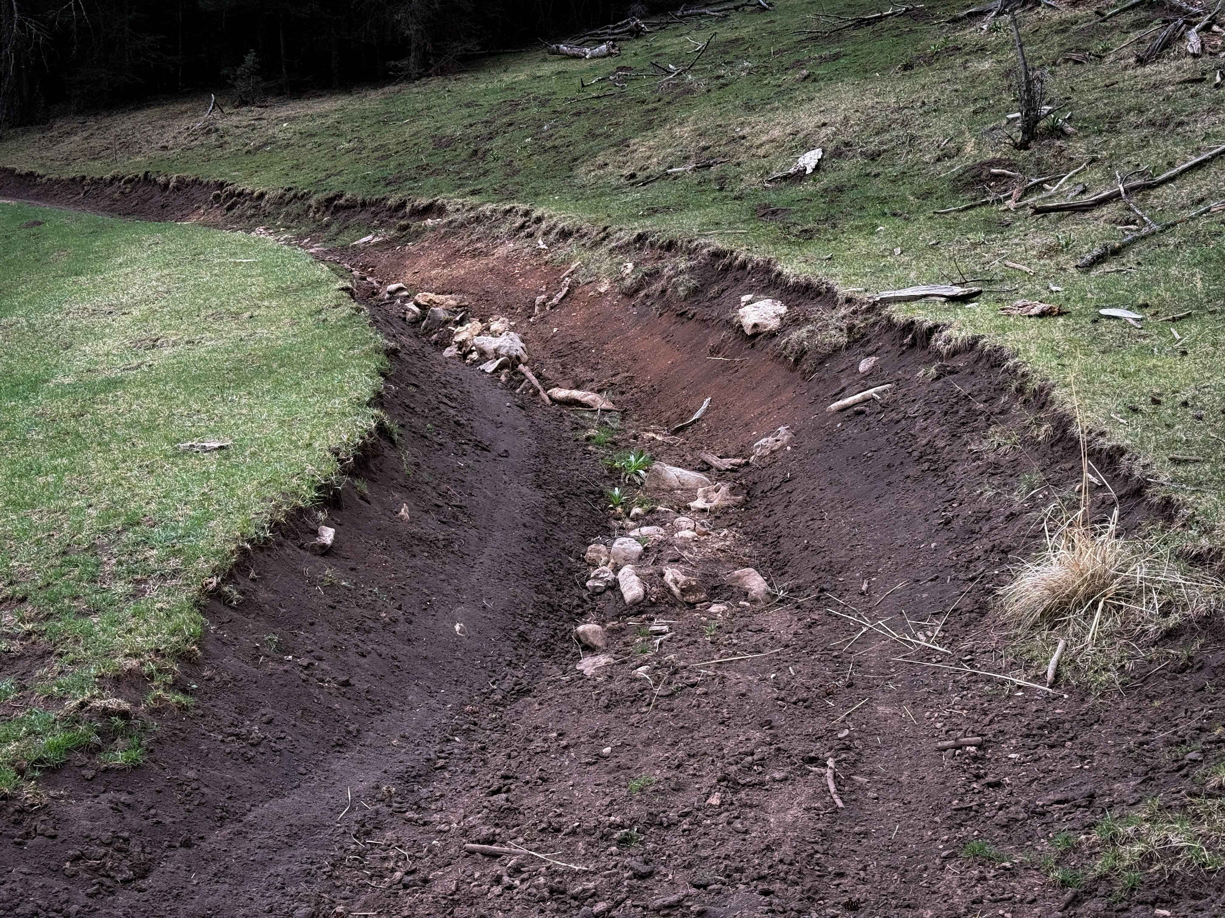 Benson Canyon - FS 5005