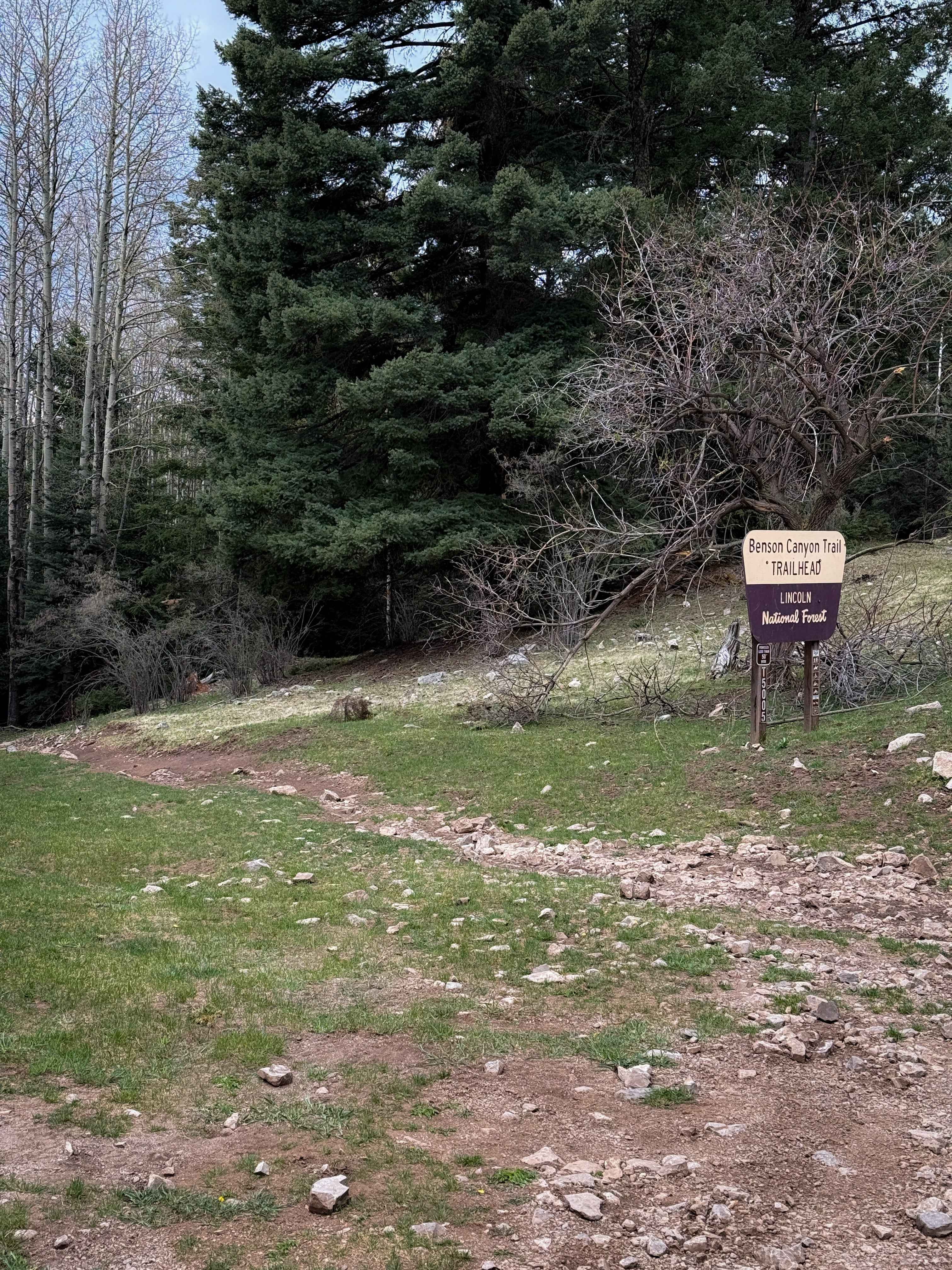 Benson Canyon - FS 5005