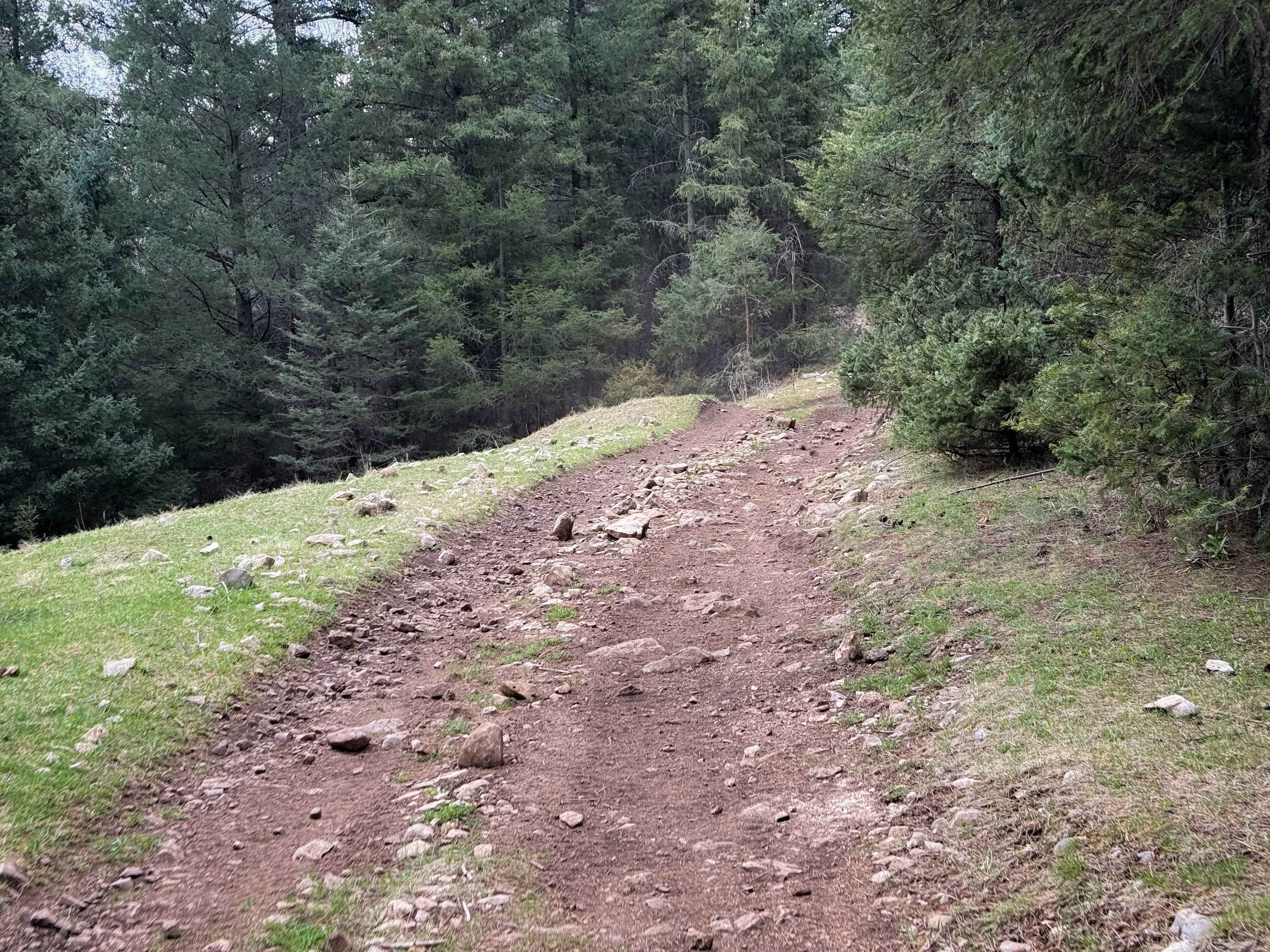 Benson Canyon Spur - FS 5005A